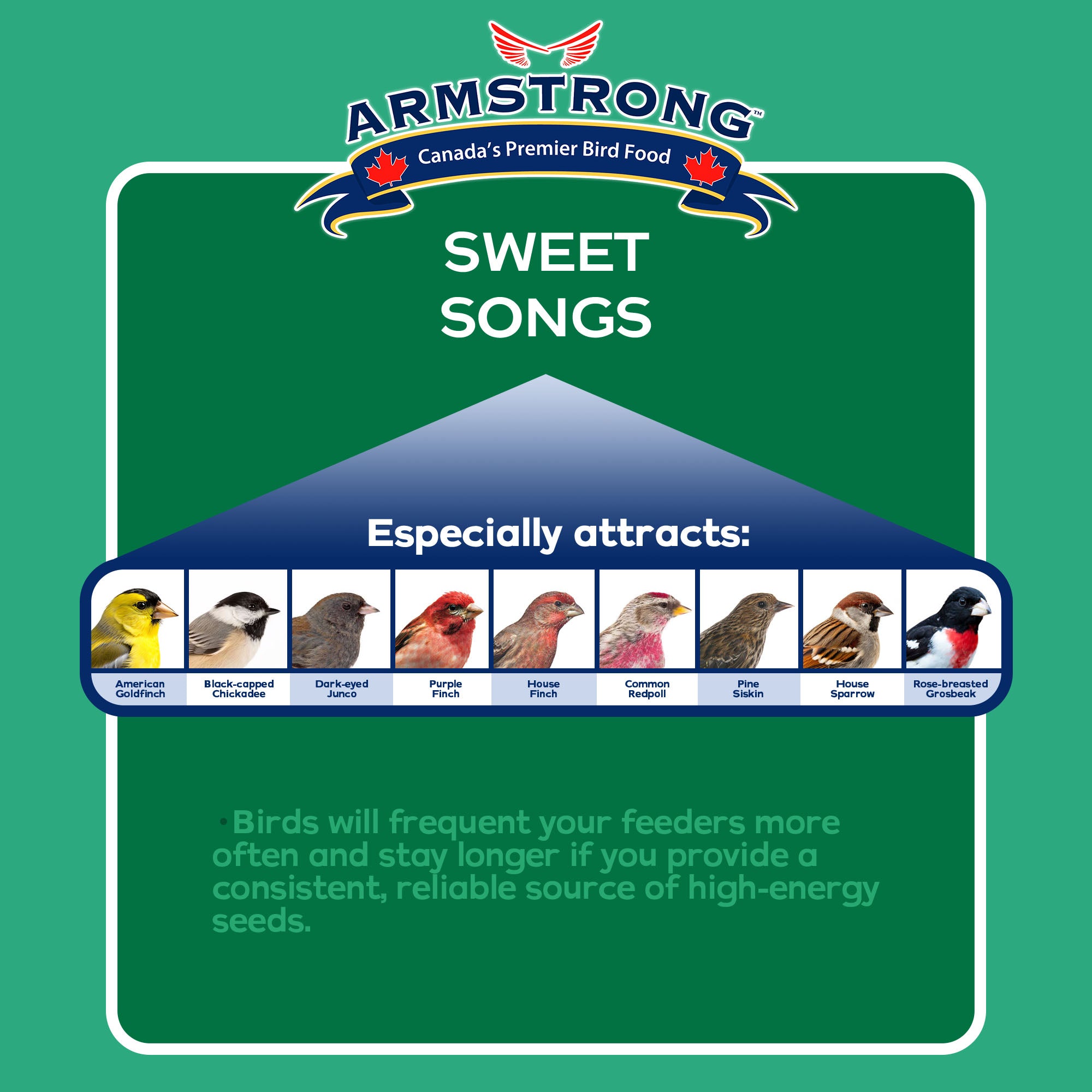 Armstrong Wild Bird Food Royal Jubilee Sweet Songs Bird Seed Blend For Chickadees