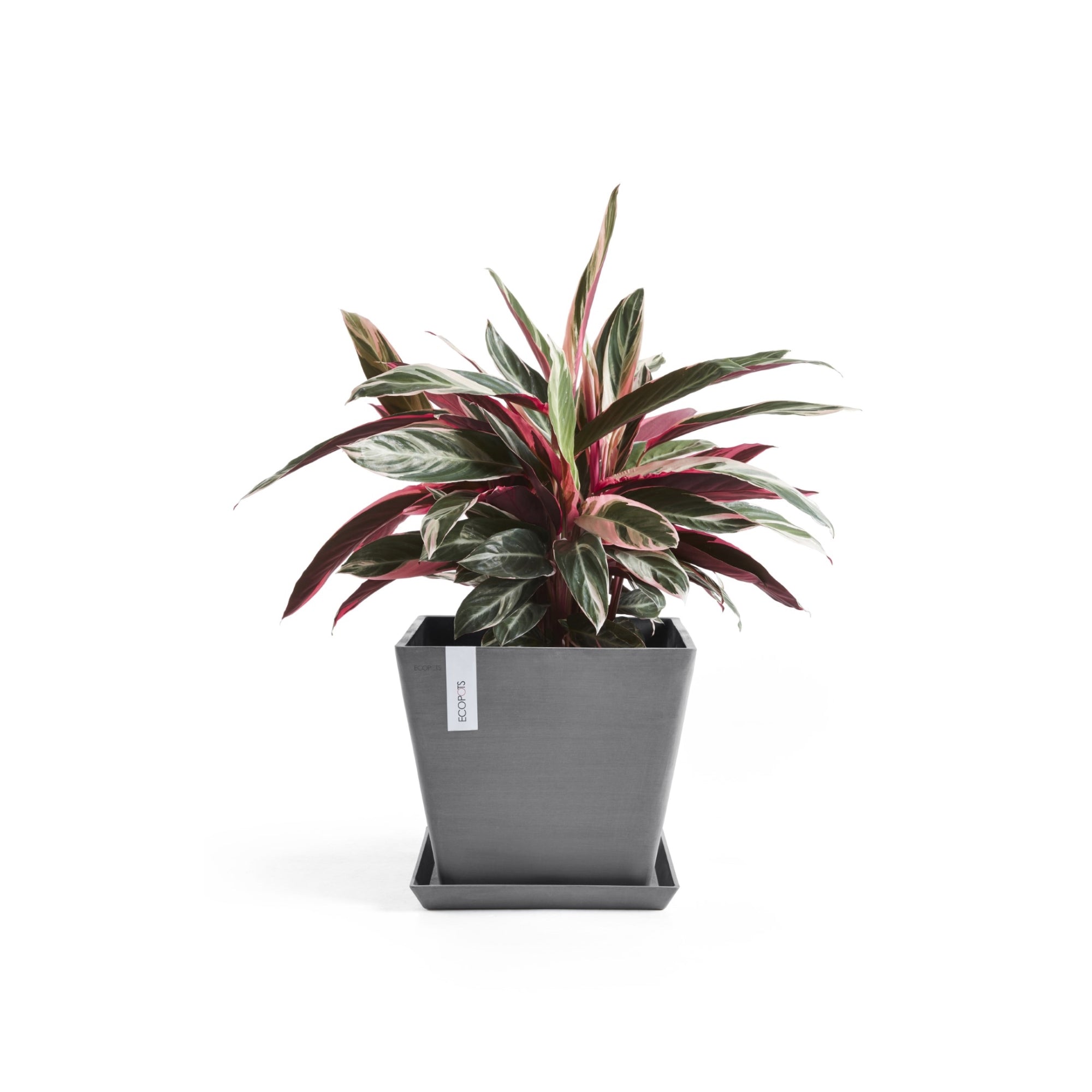 Ecopots Rotterdam Durable Modern Square Indoor/Outdoor Recycled-Based Composite Flower Planter