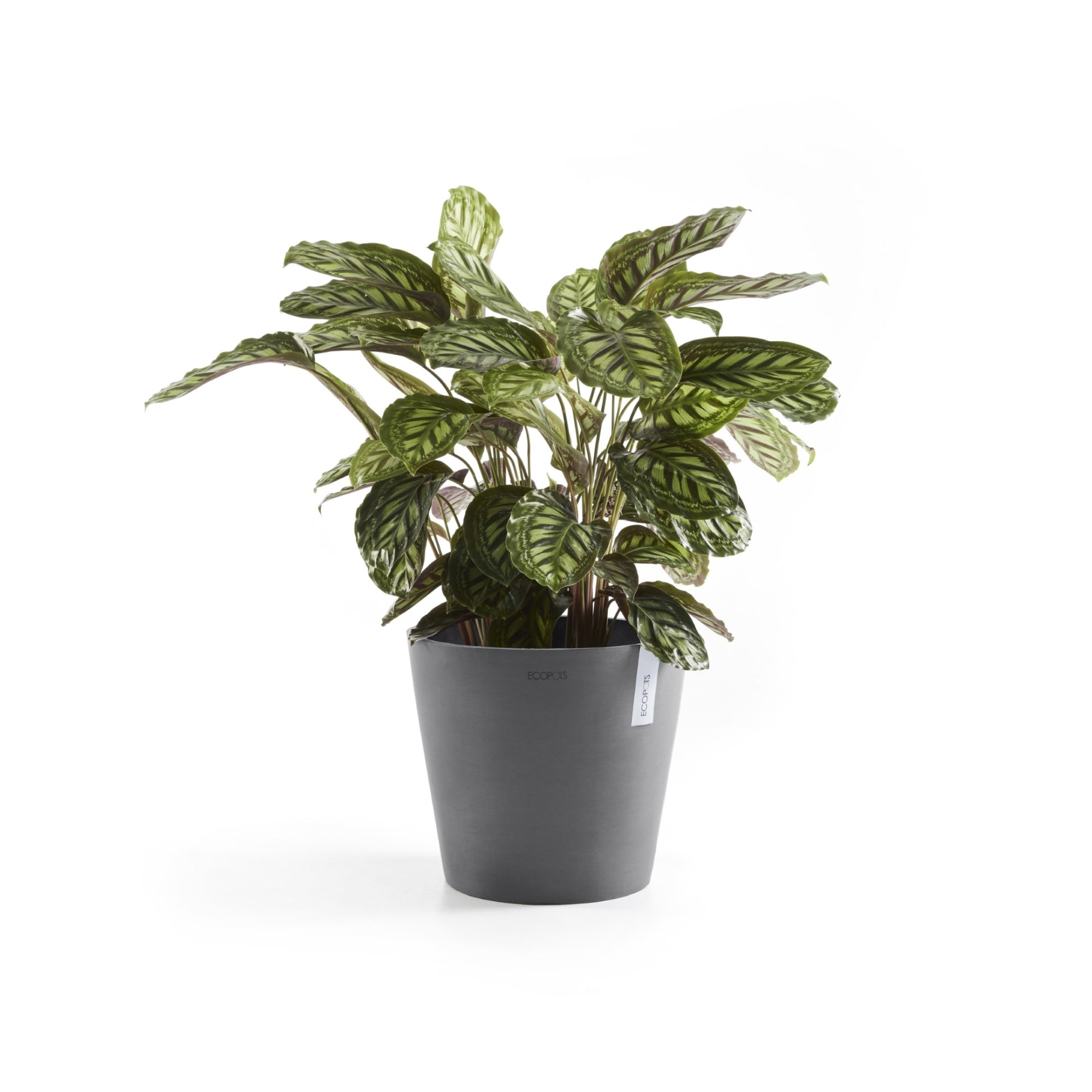 Ecopots Amsterdam Durable Modern Round In/Outdoor Recycled-Based Composite Flower Pot Planter