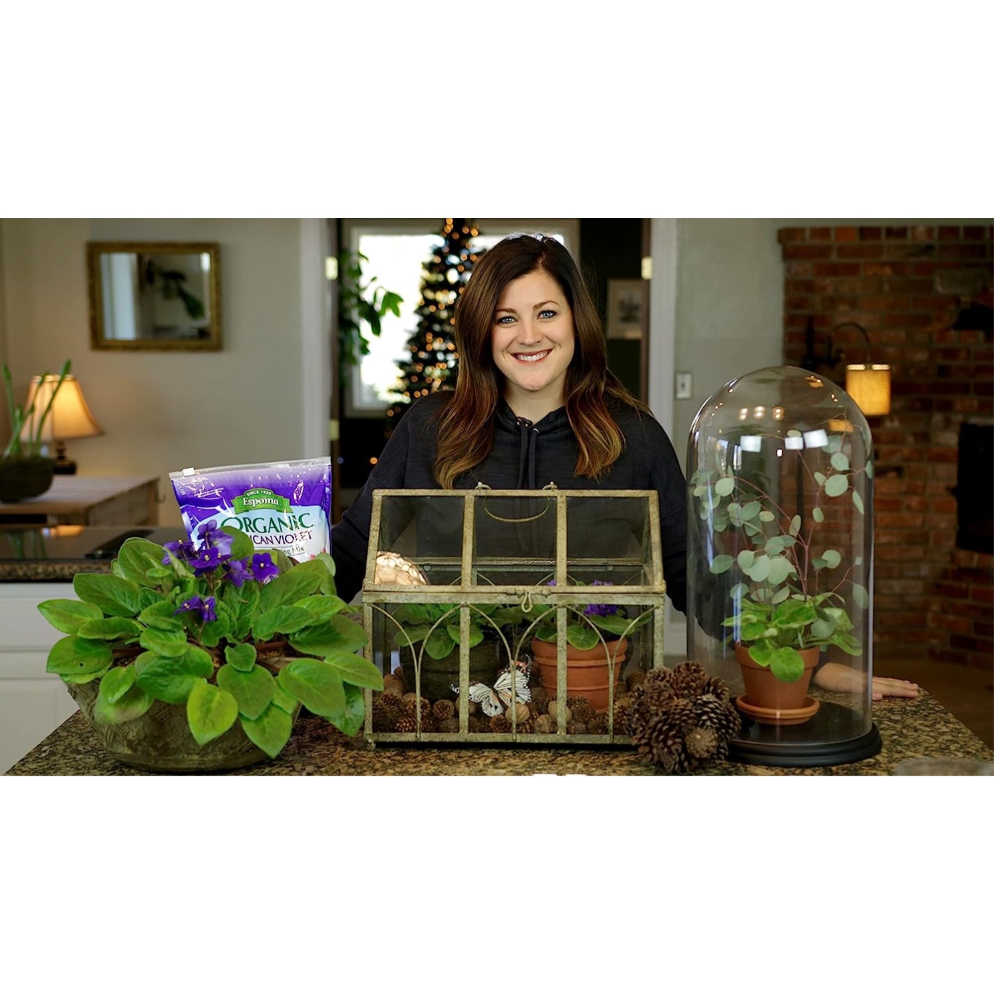 Espoma Organic African Violet Premium Potting Mix for Aftican Violets and Other Houseplants, for Organic Gardening, 4qt