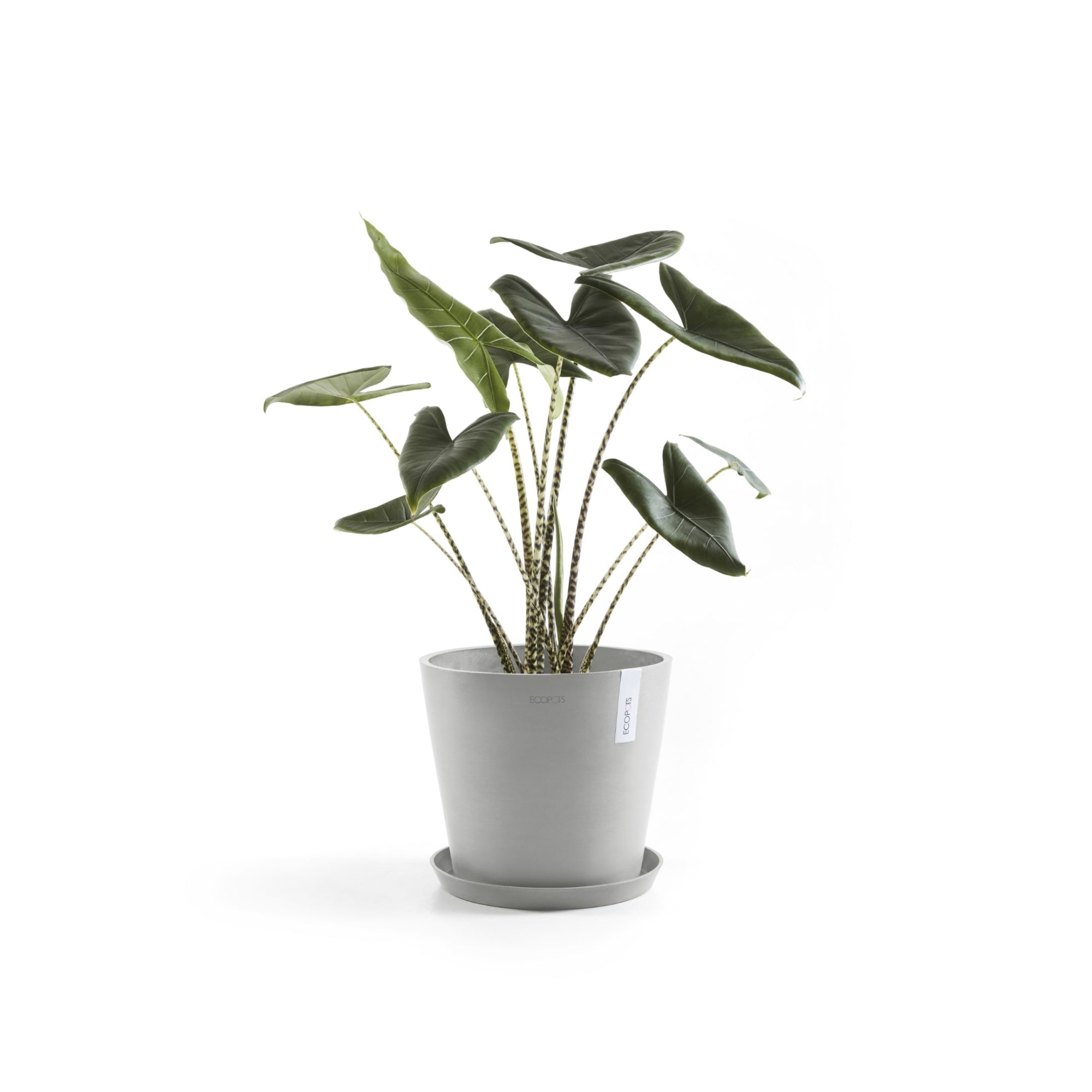 Ecopots Amsterdam Durable Modern Round In/Outdoor Recycled-Based Composite Flower Pot Planter