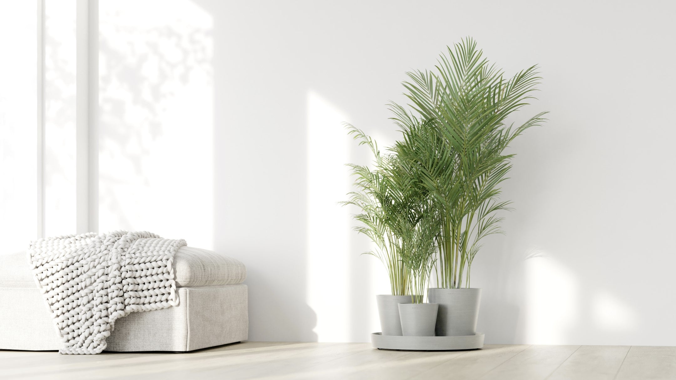 Ecopots Dubai Self Watering Durable Modern Round Indoor/Outdoor Recycled-Based Composite Flower Pot Planters w/Wheels and Saucer, 22"