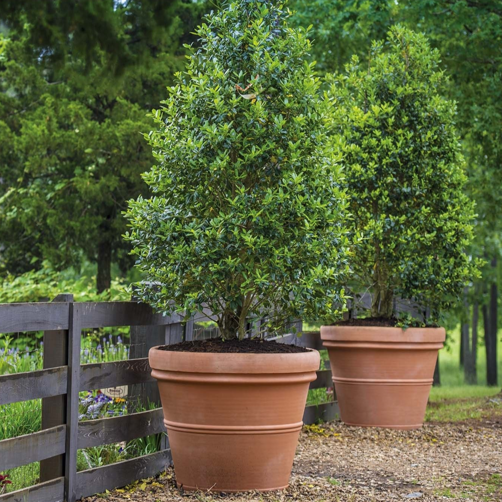 Garden Elements Indoor/Outdoor Resin Turin Planter, Lightweight & Durable