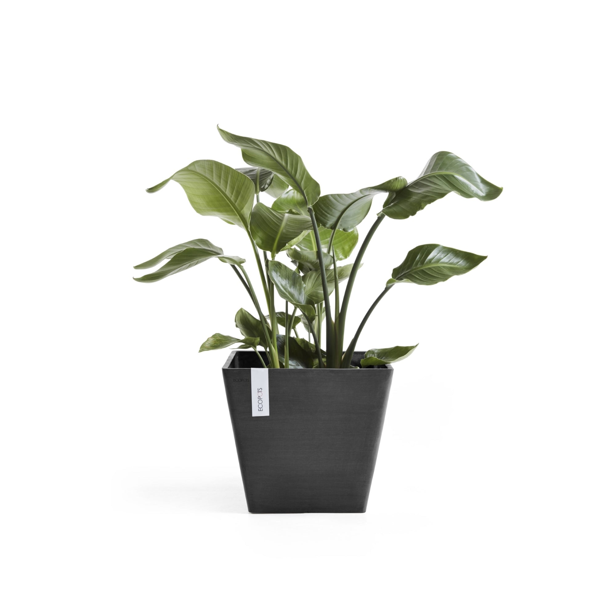 Ecopots Rotterdam Durable Modern Square Indoor/Outdoor Recycled-Based Composite Flower Planter