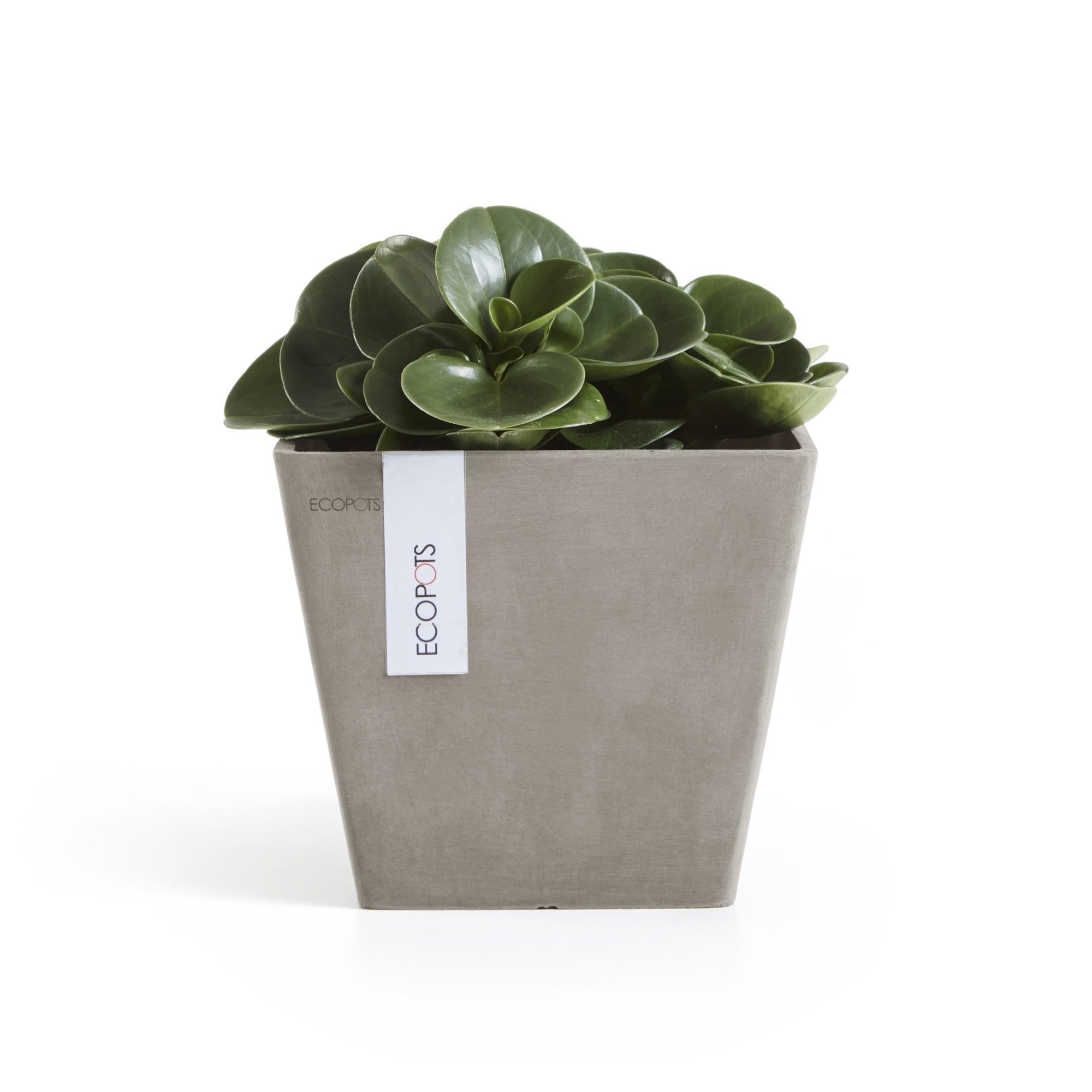 Ecopots Rotterdam Durable Modern Square Indoor/Outdoor Recycled-Based Composite Flower Planter