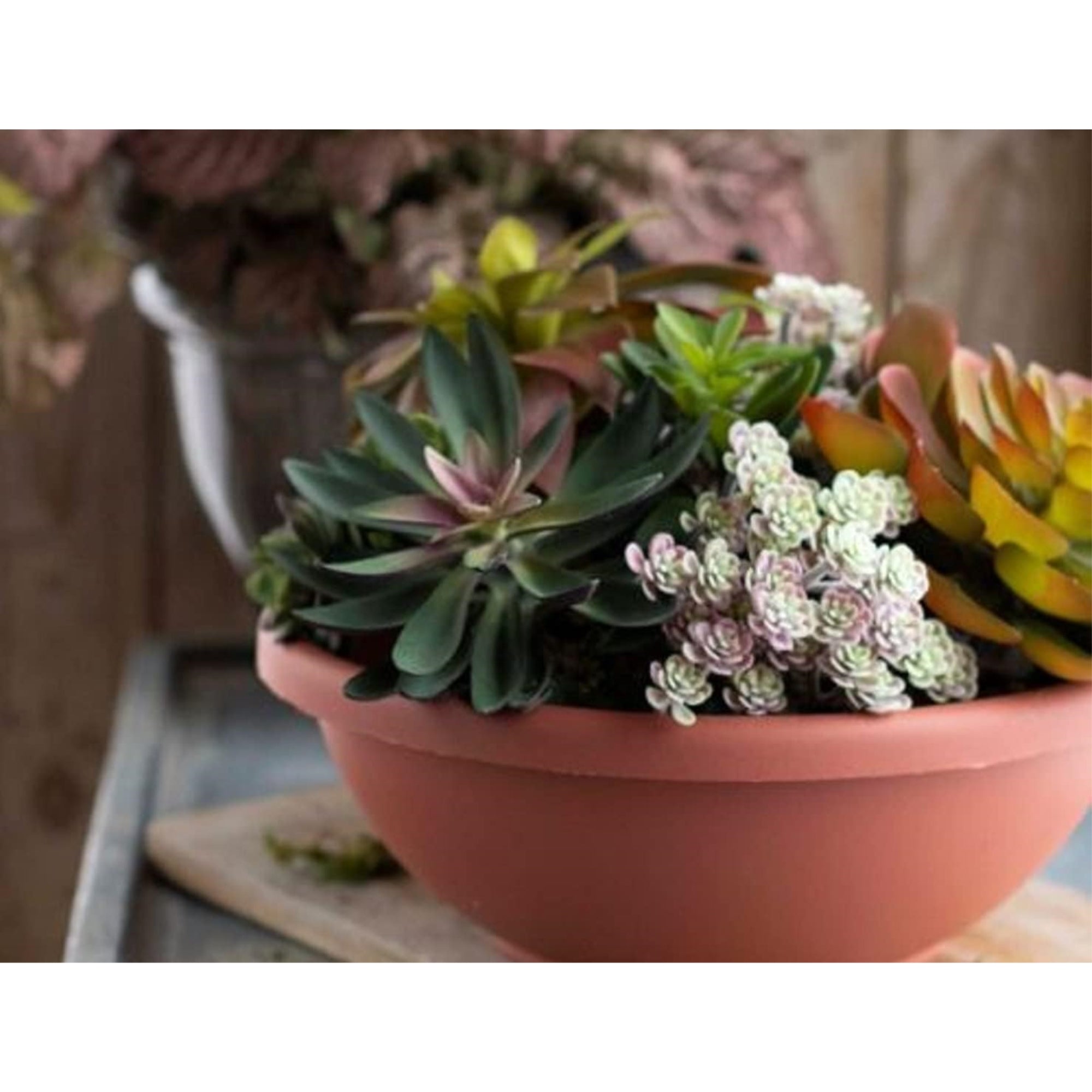 The HC Companies Garden Bowl with Removable Drain Plugs, Clay Color, 14 In