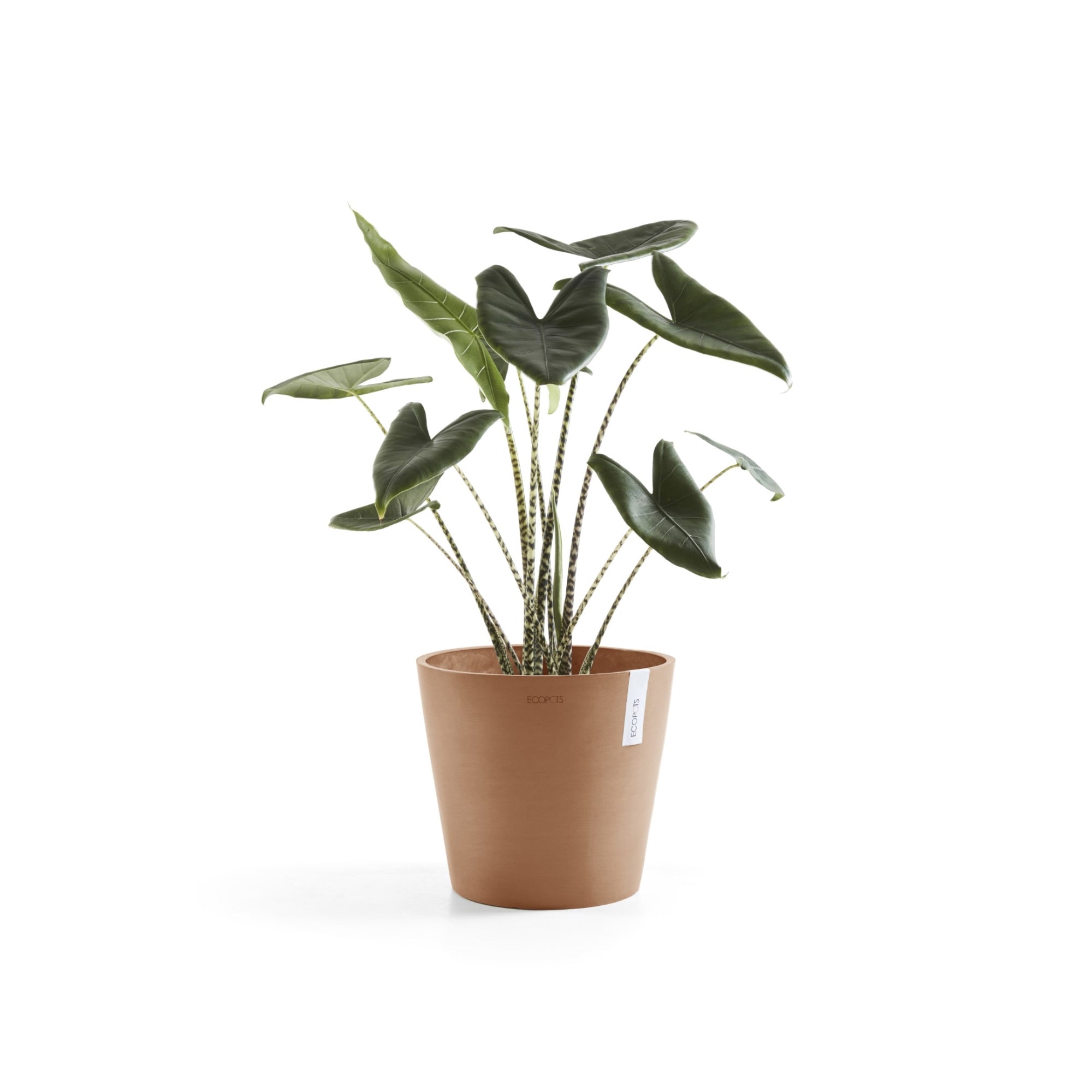 Ecopots Amsterdam Durable Modern Round In/Outdoor Recycled-Based Composite Flower Pot Planter