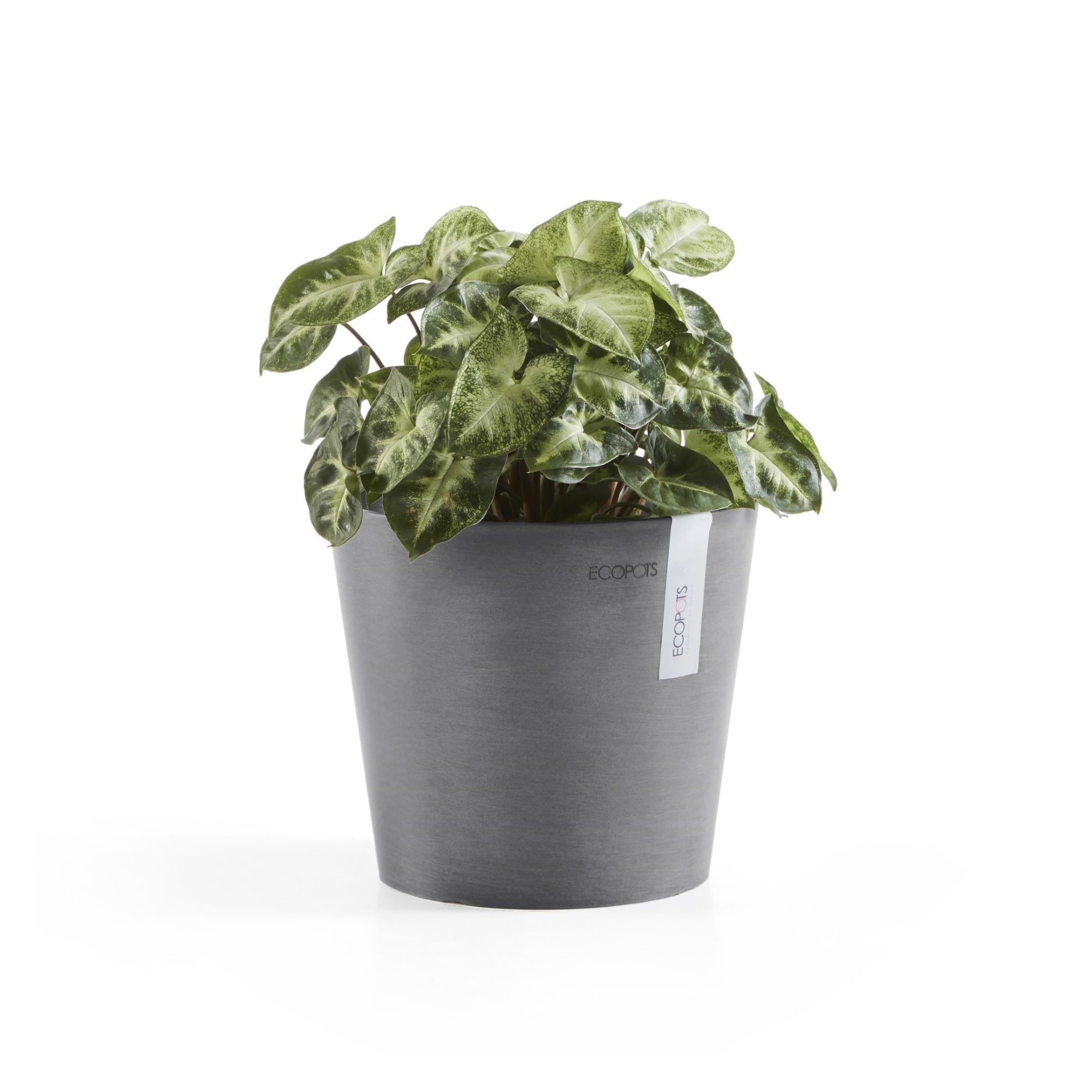 Ecopots Amsterdam Mini Durable Modern Round Recycled-Based Composite Flower Pot Planter