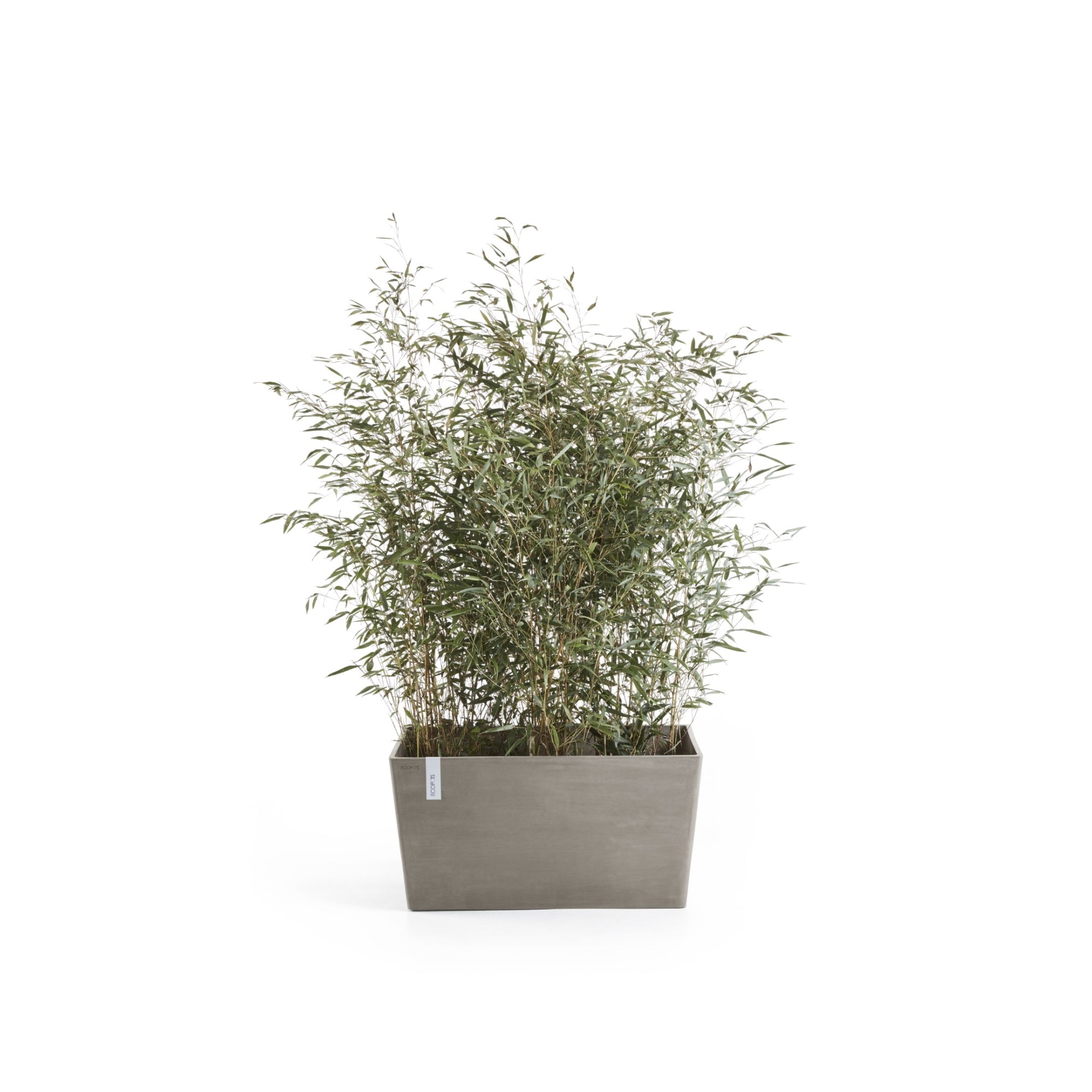 Ecopots Paris Durable Modern Rectangular Indoor/Outdoor Recycled-Based Composite Flower Planter