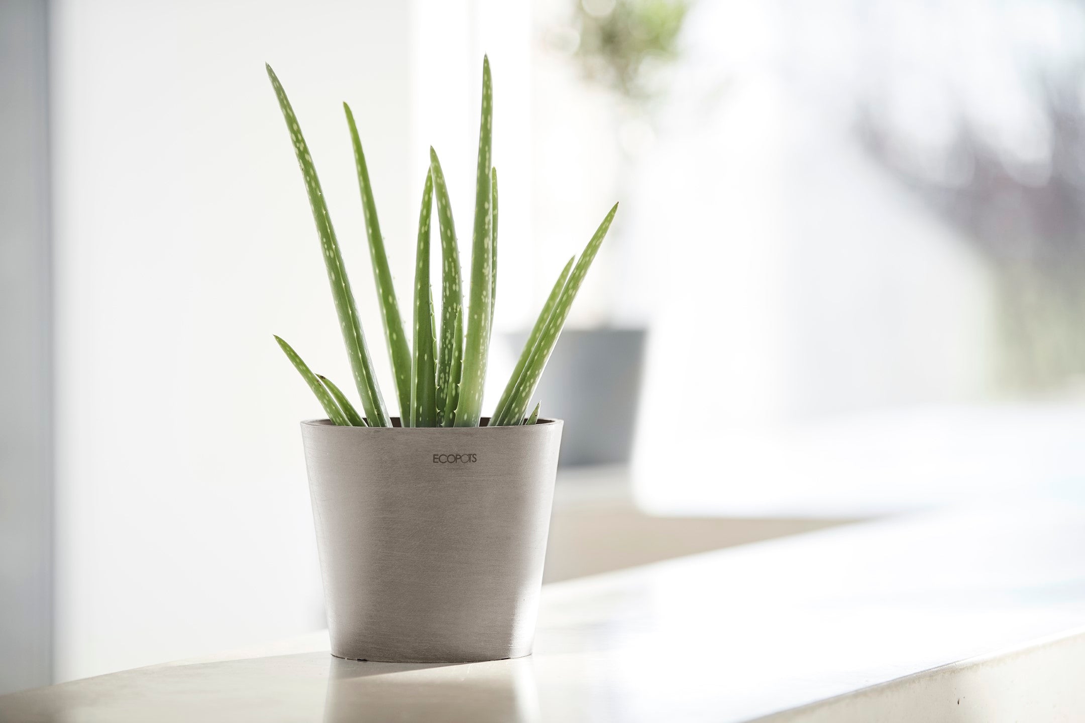 Ecopots Amsterdam Mini Durable Modern Round Recycled-Based Composite Flower Pot Planter