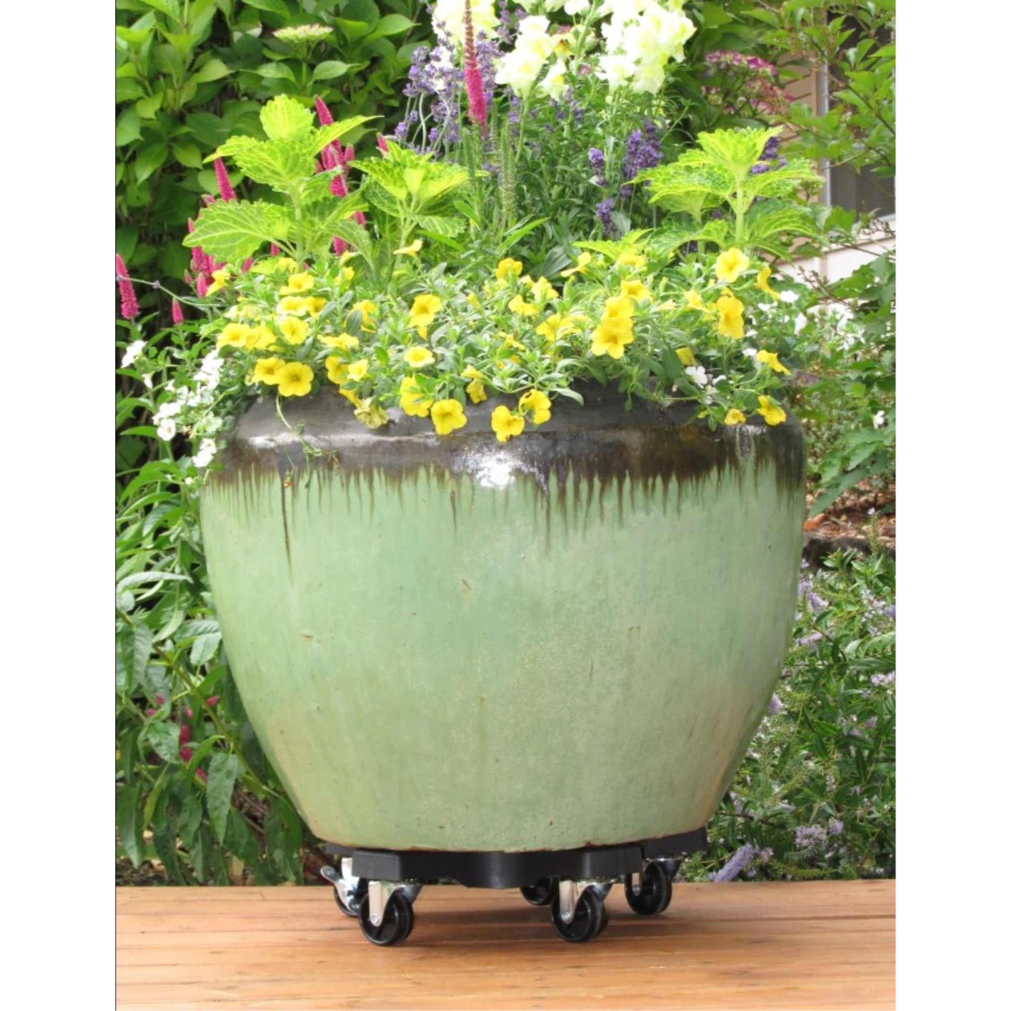 Bosmere Down Under Plant Plastic In/Outdoor Planter Caddie