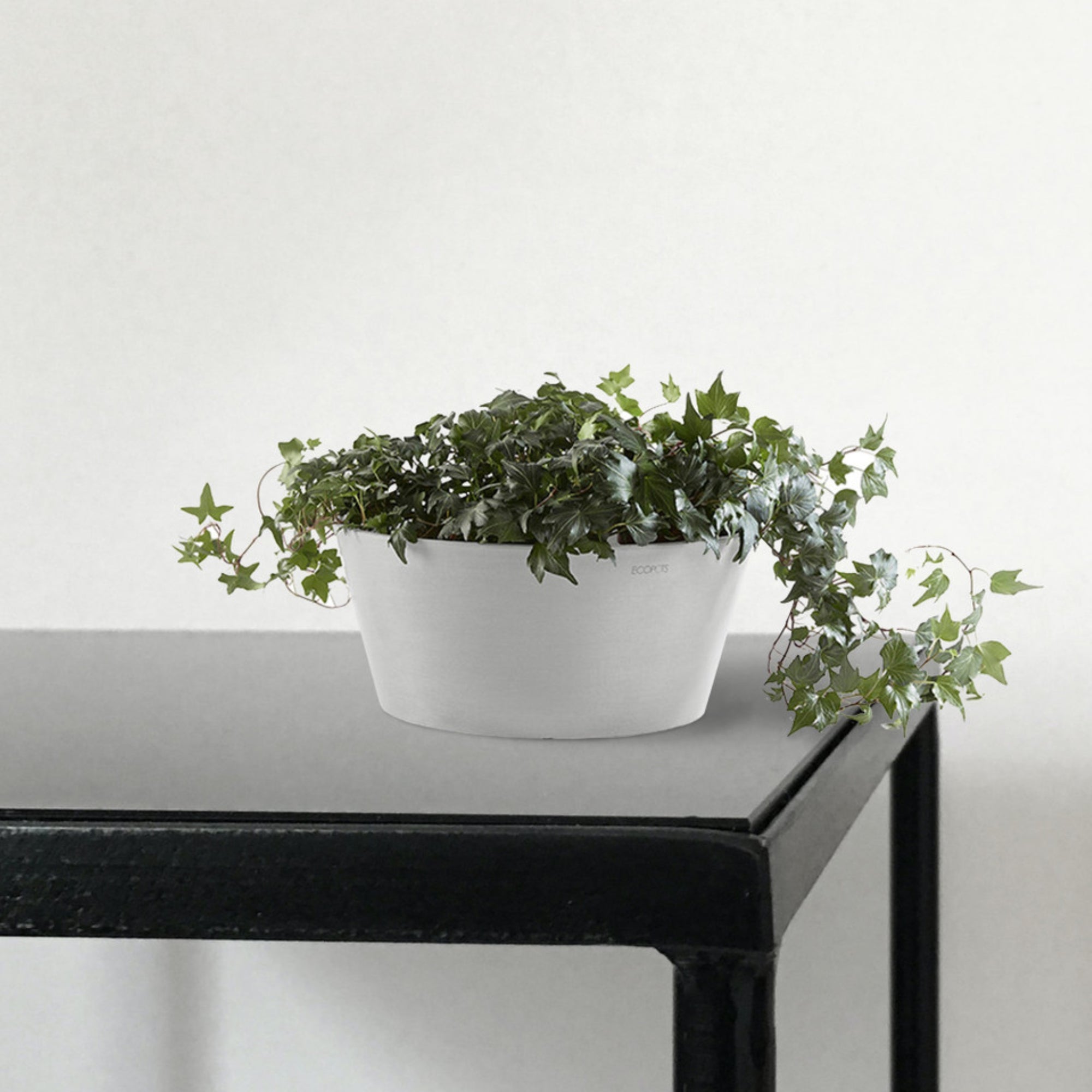 Ecopots Frankfurt Durable Modern Round Indoor/Outdoor Recycled-Based Composite Flower Pot Planter, 12"