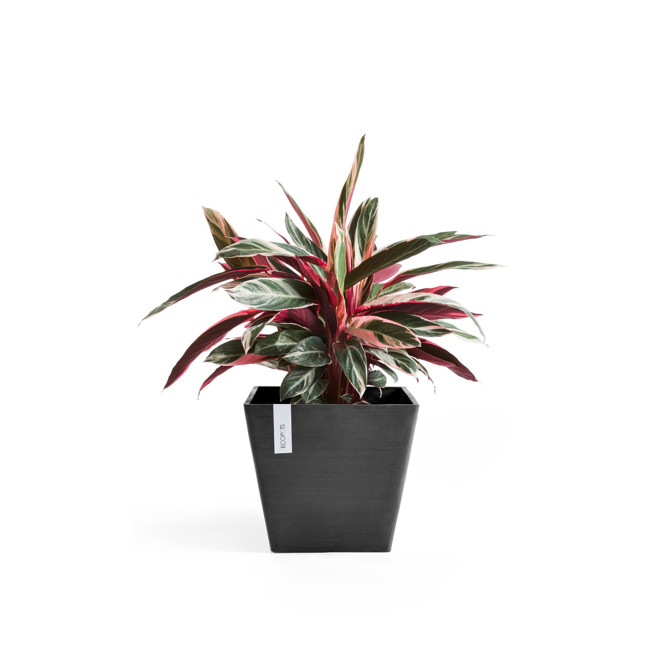 Ecopots Rotterdam Durable Modern Square Indoor/Outdoor Recycled-Based Composite Flower Planter