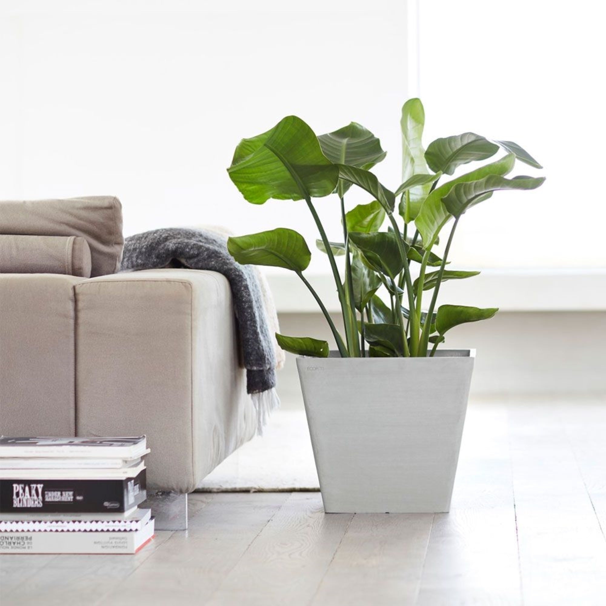 Ecopots Rotterdam Durable Modern Square Indoor/Outdoor Recycled-Based Composite Flower Planter