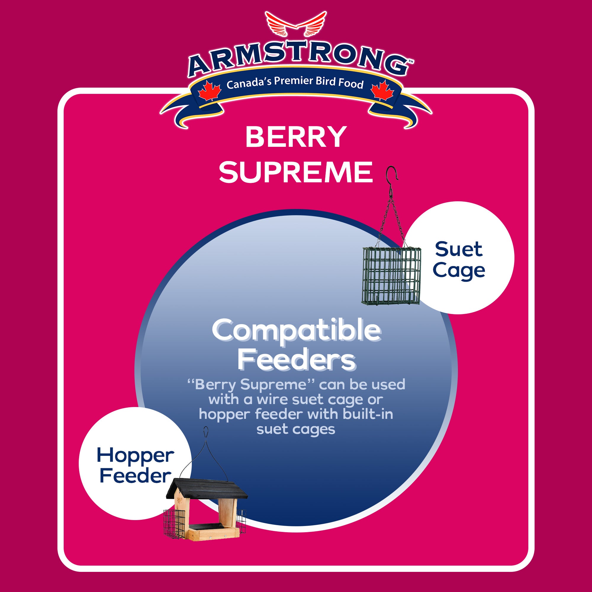 Armstrong Wild Bird Food Berry Supreme Suet Cake, 10.6oz (Pack of 12)