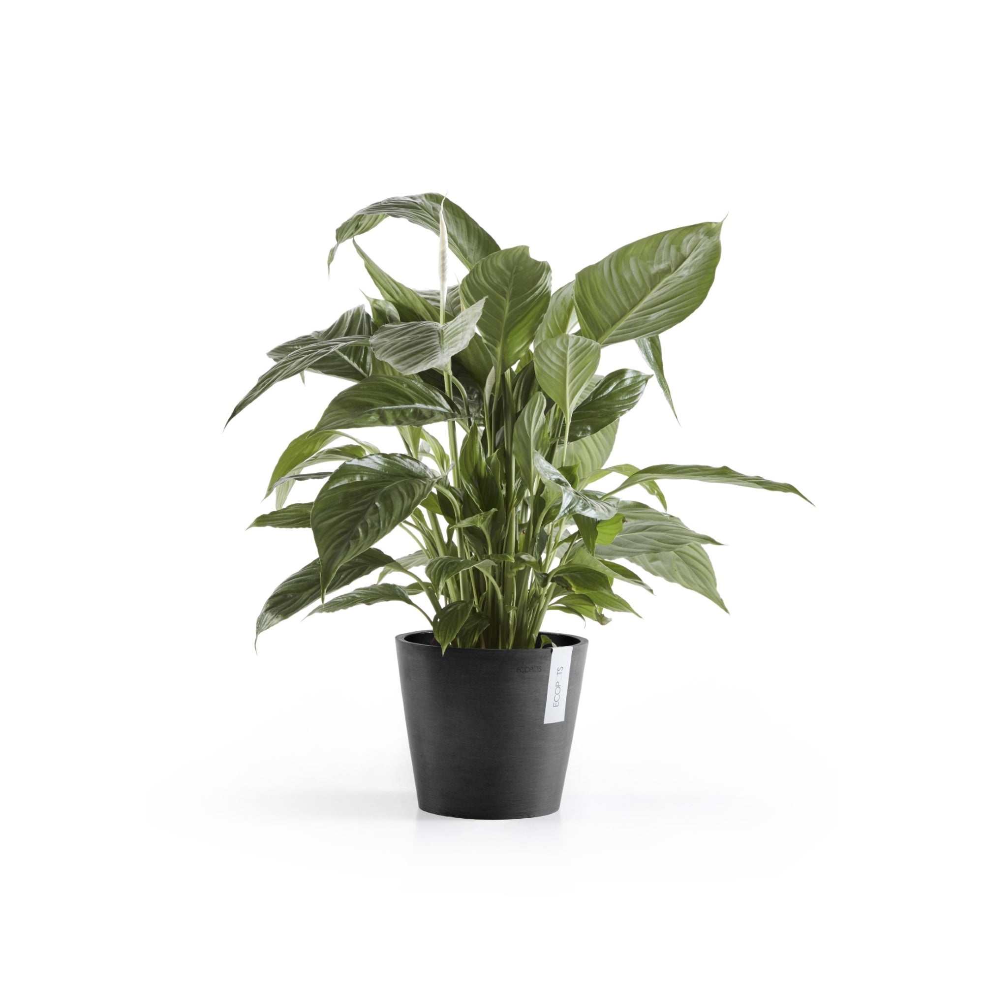 Ecopots Amsterdam Durable Modern Round In/Outdoor Recycled-Based Composite Flower Pot Planter
