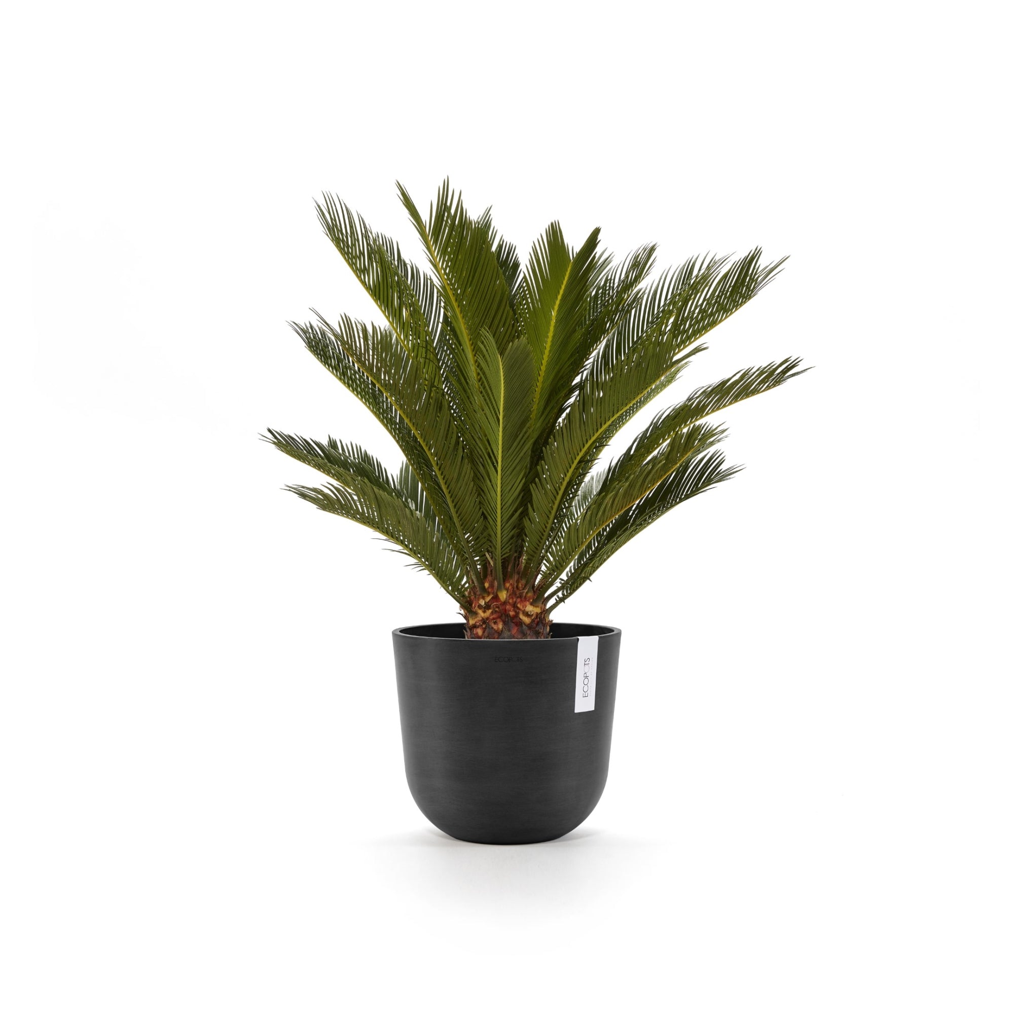 Ecopots Oslo Durable Modern Round Indoor/Outdoor Recycled-Based Composite Flower Pot Planter