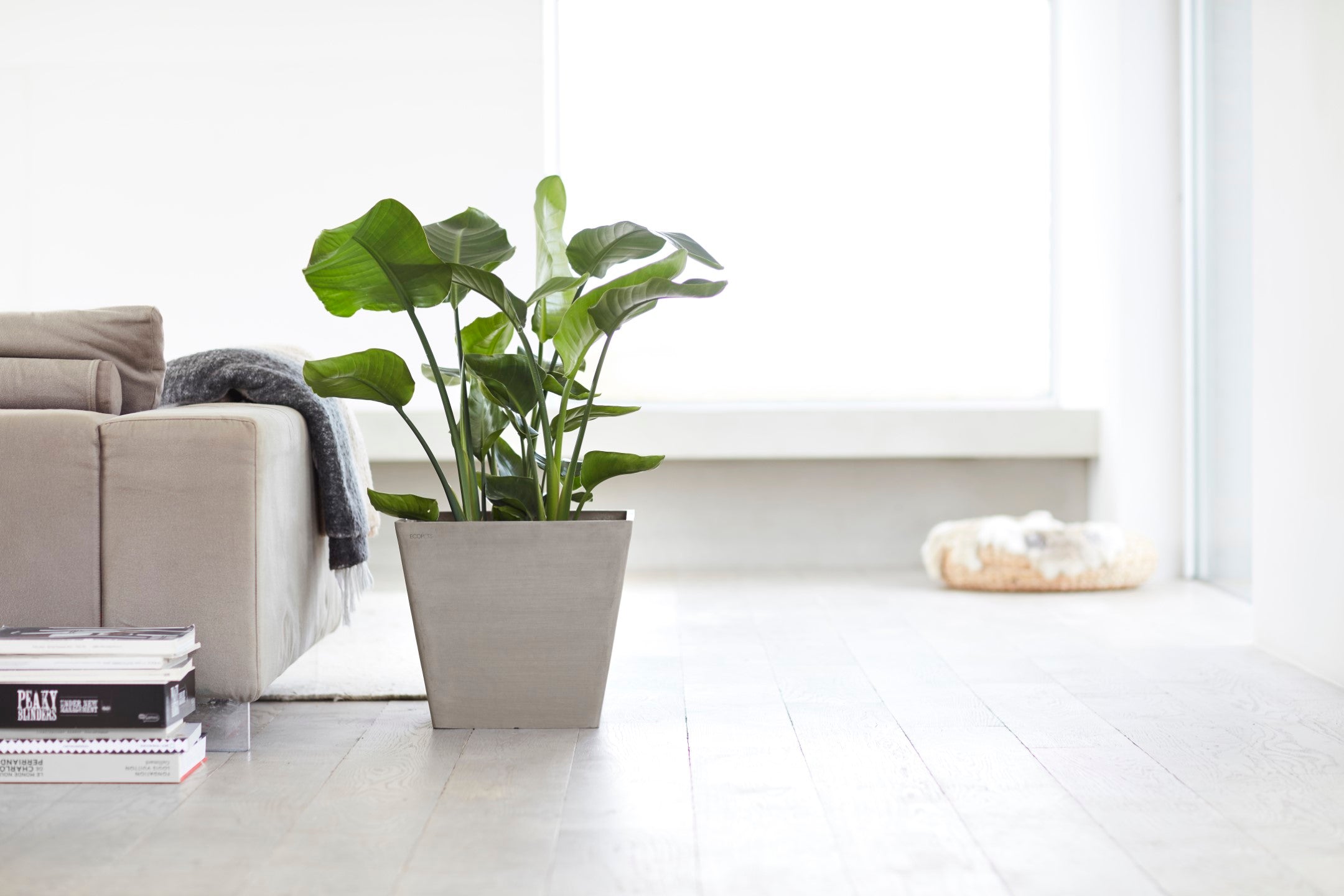 Ecopots Rotterdam Durable Modern Square Indoor/Outdoor Recycled-Based Composite Flower Planter