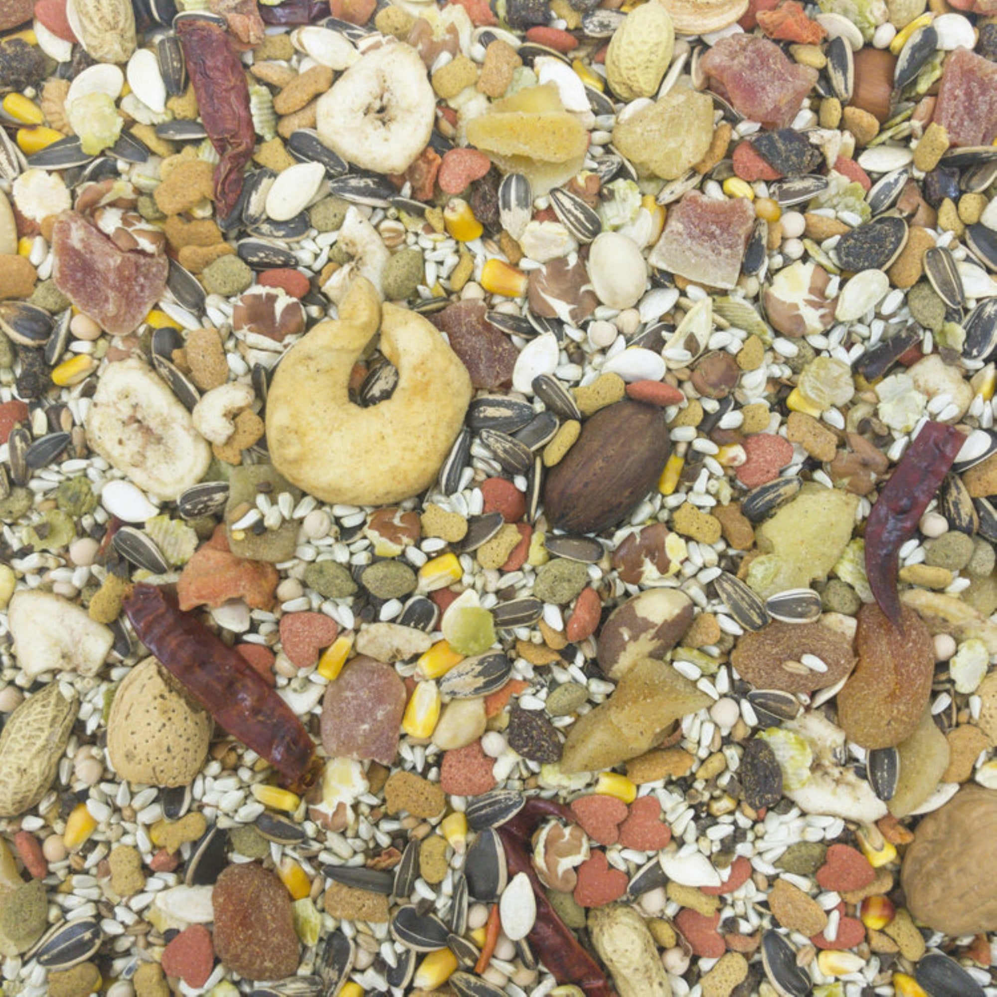Higgins Sunburst Gourmet Bird Food Blend for Macaws, Food and Treat in One, 25lbs