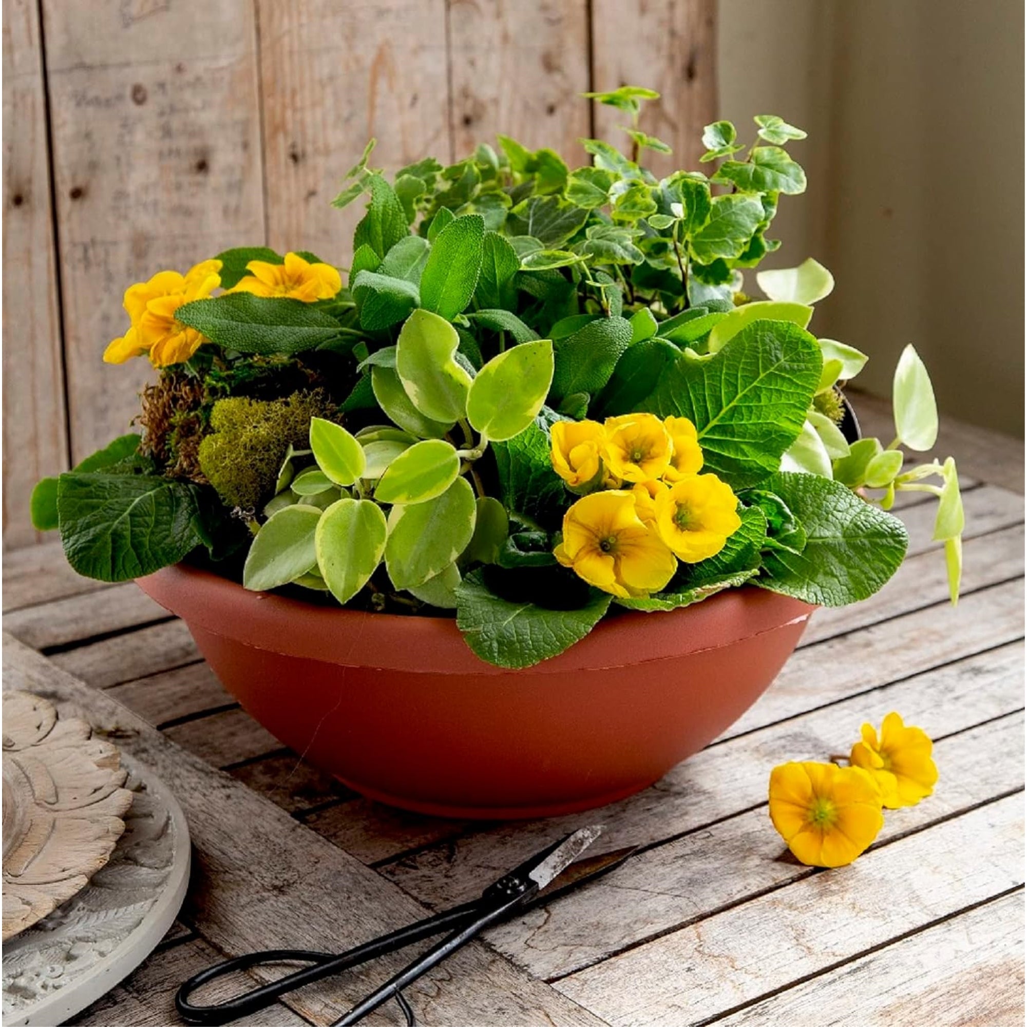 The HC Companies Garden Bowl with Removable Drain Plugs, Clay Color, 14 In