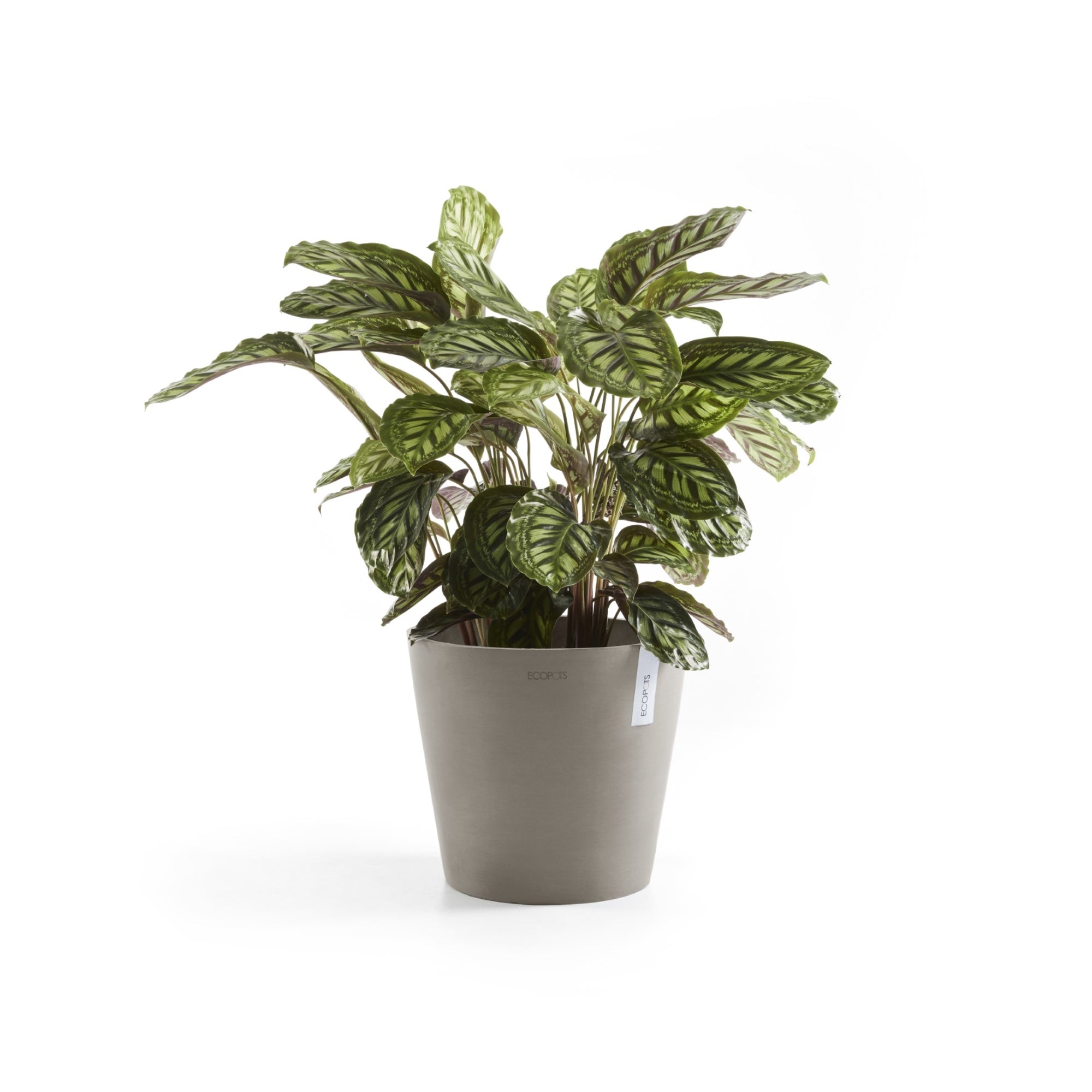 Ecopots Amsterdam Durable Modern Round In/Outdoor Recycled-Based Composite Flower Pot Planter