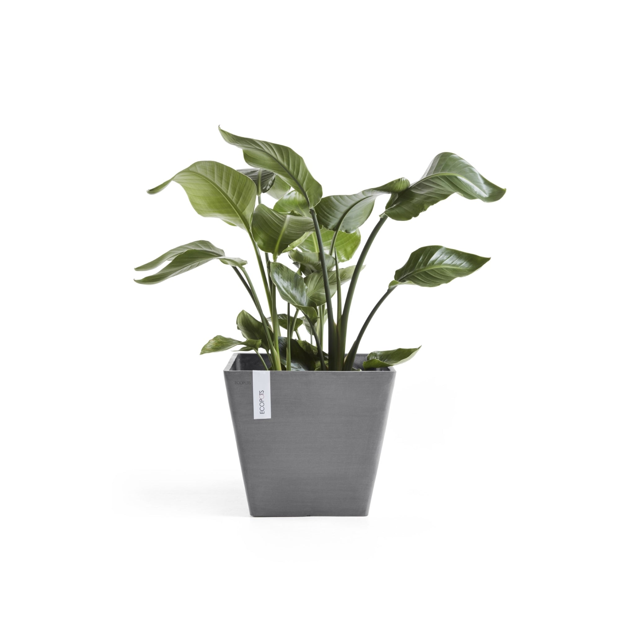 Ecopots Rotterdam Durable Modern Square Indoor/Outdoor Recycled-Based Composite Flower Planter