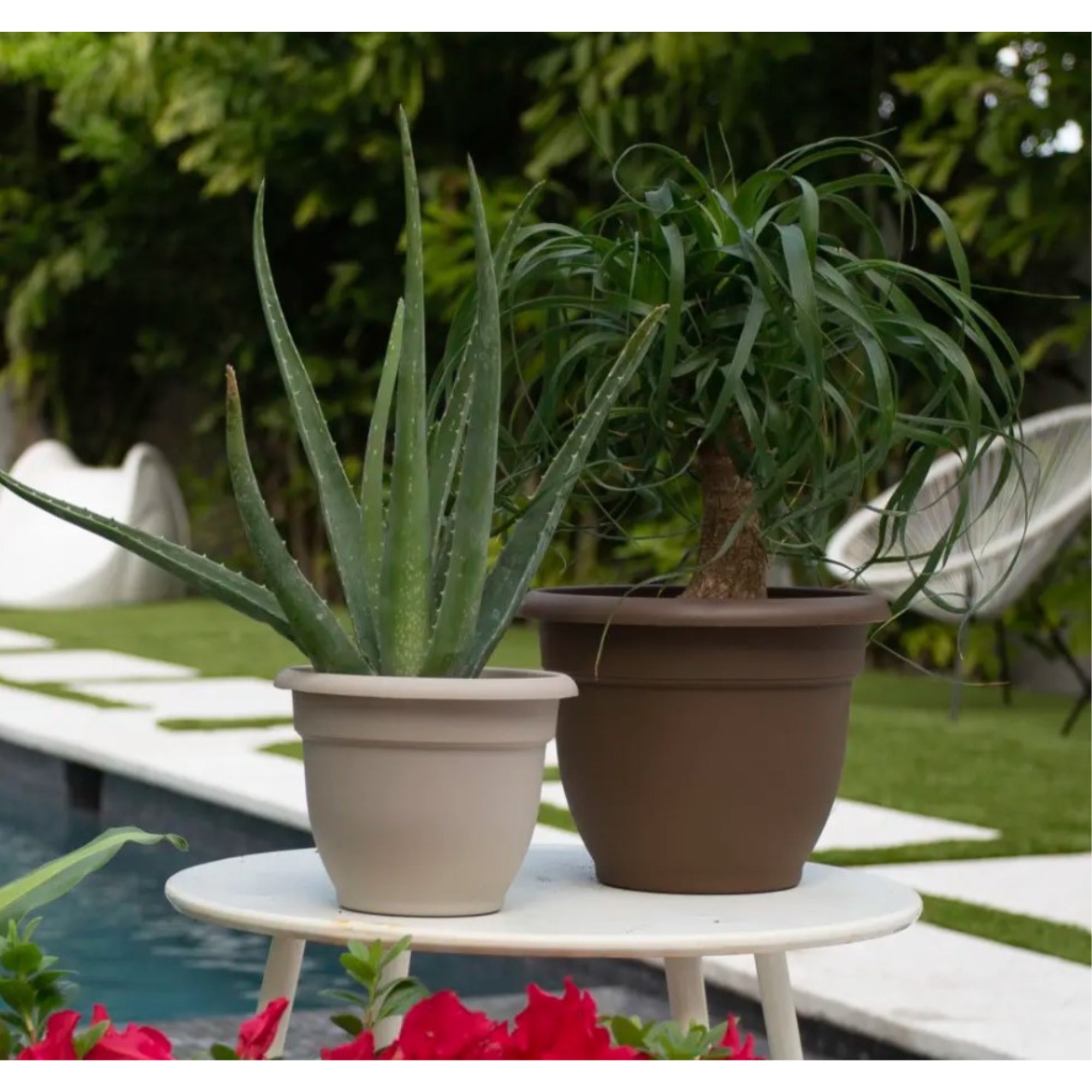 Bloem Ariana Plastic Flower Planter with Self-Watering Disk