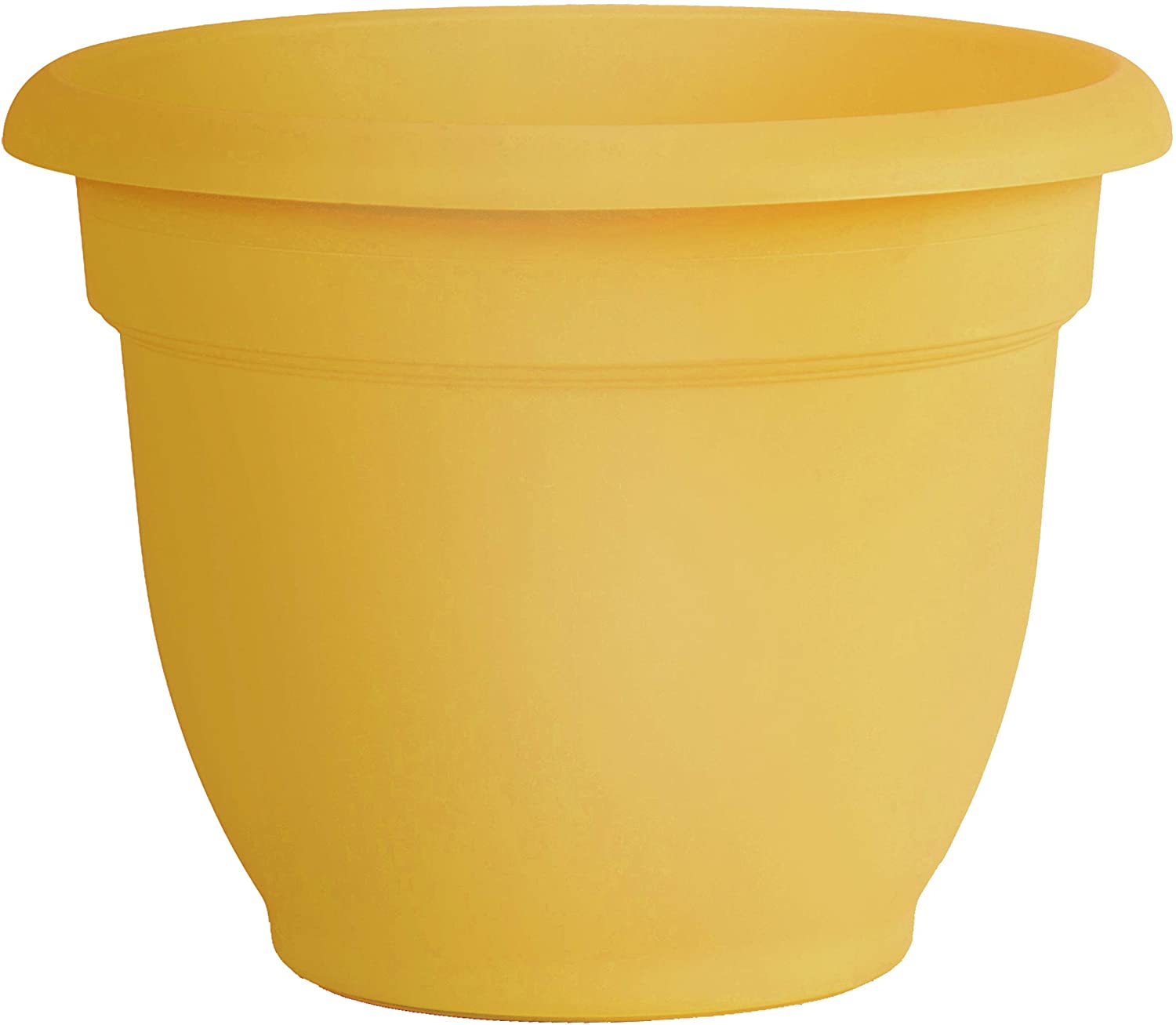 Bloem Ariana Plastic Flower Planter with Self-Watering Disk