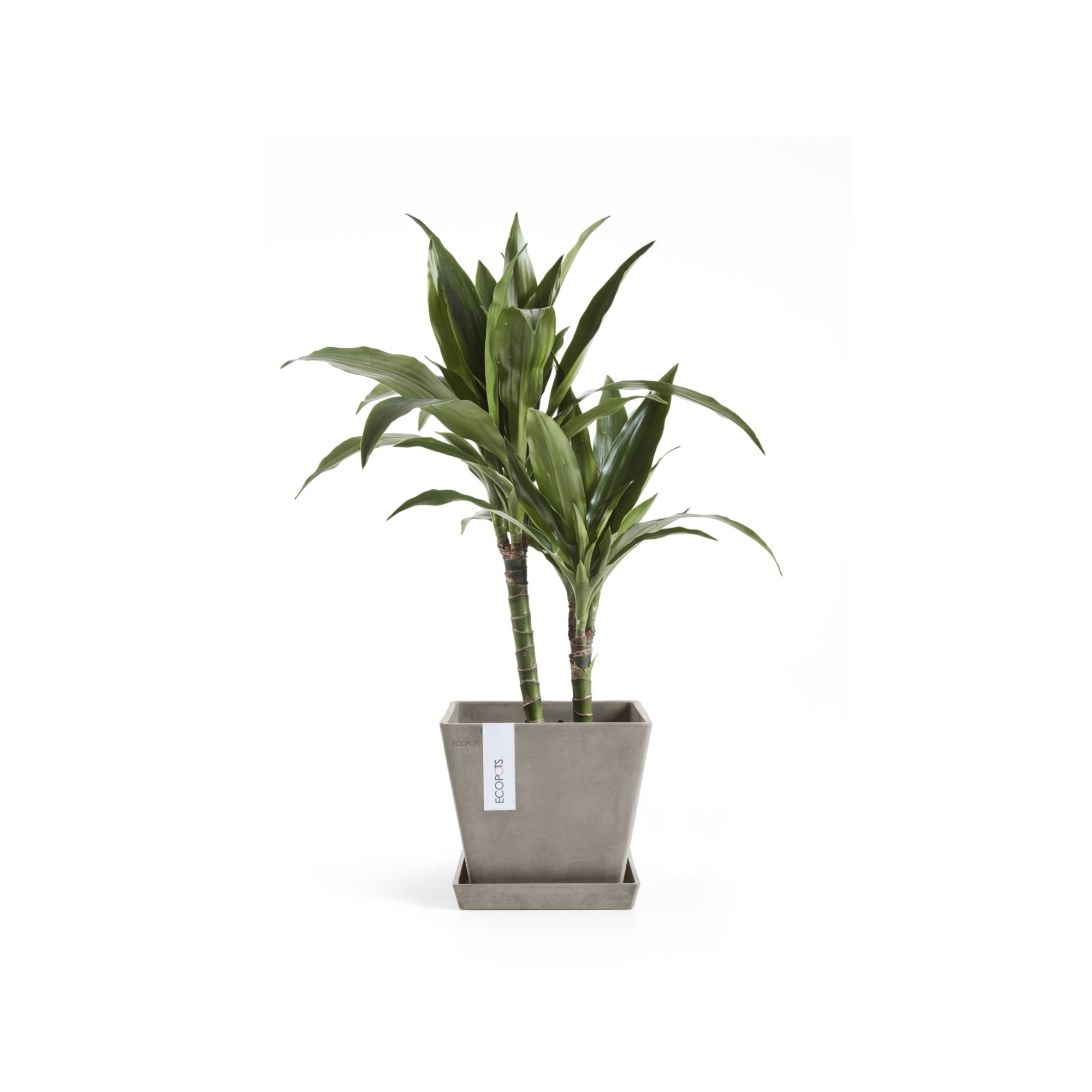 Ecopots Rotterdam Durable Modern Square Indoor/Outdoor Recycled-Based Composite Flower Planter