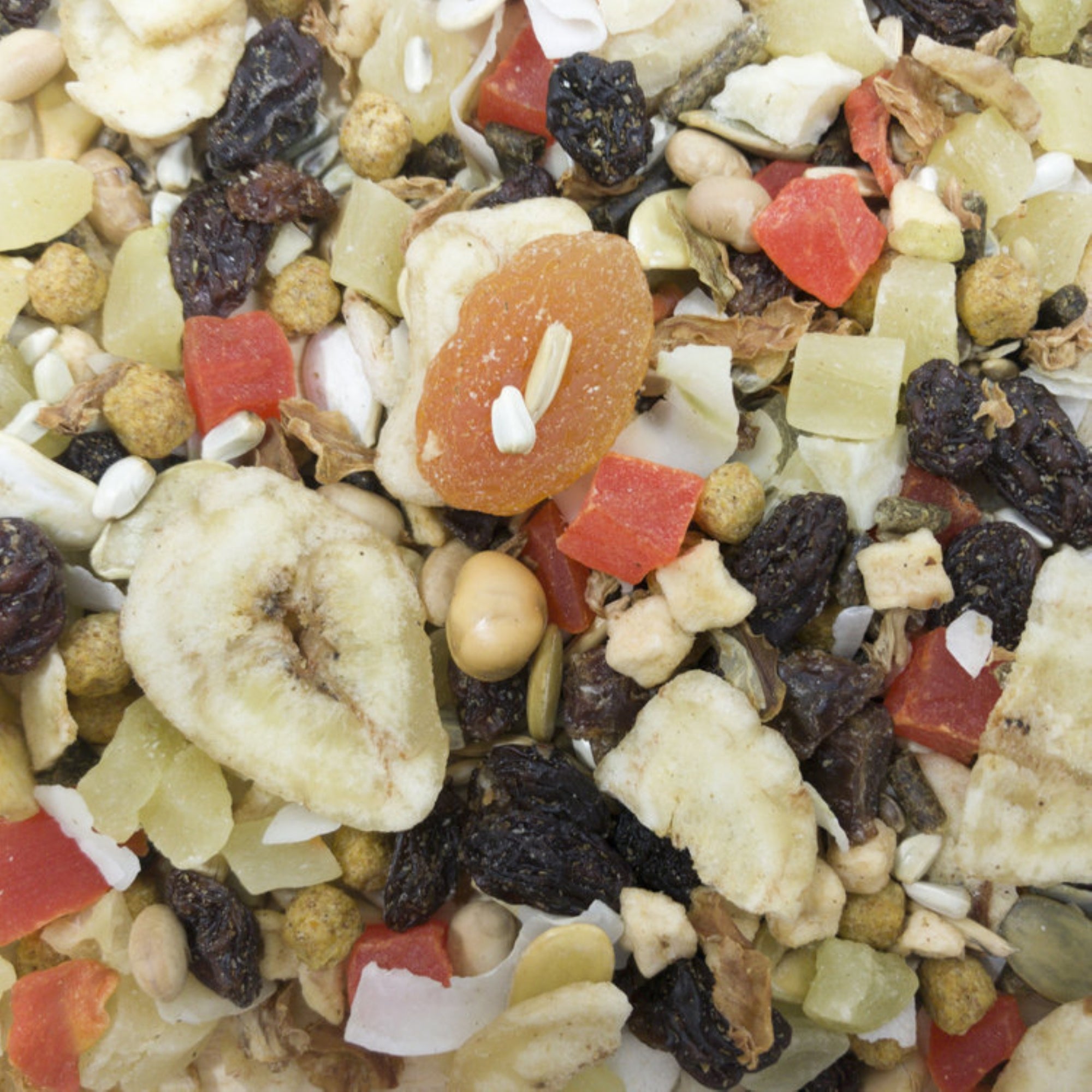 Higgins Sunburst Gourmet Fruit and Veggies Natural Treats for Conures, Parrots, and Macaws, 20lbs