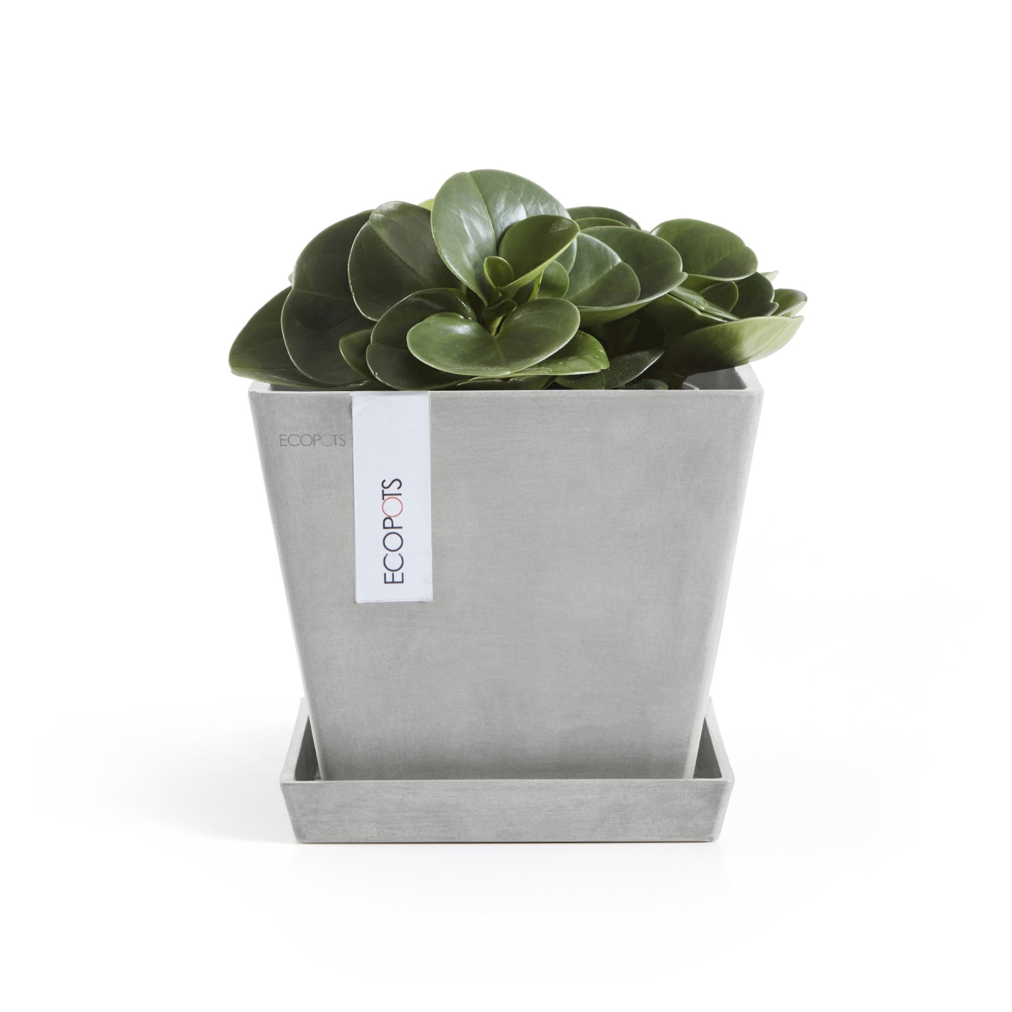Ecopots Rotterdam Durable Modern Square Indoor/Outdoor Recycled-Based Composite Flower Planter