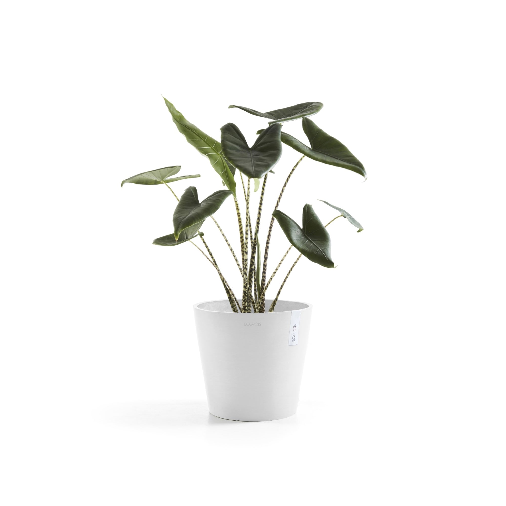 Ecopots Amsterdam Durable Modern Round In/Outdoor Recycled-Based Composite Flower Pot Planter