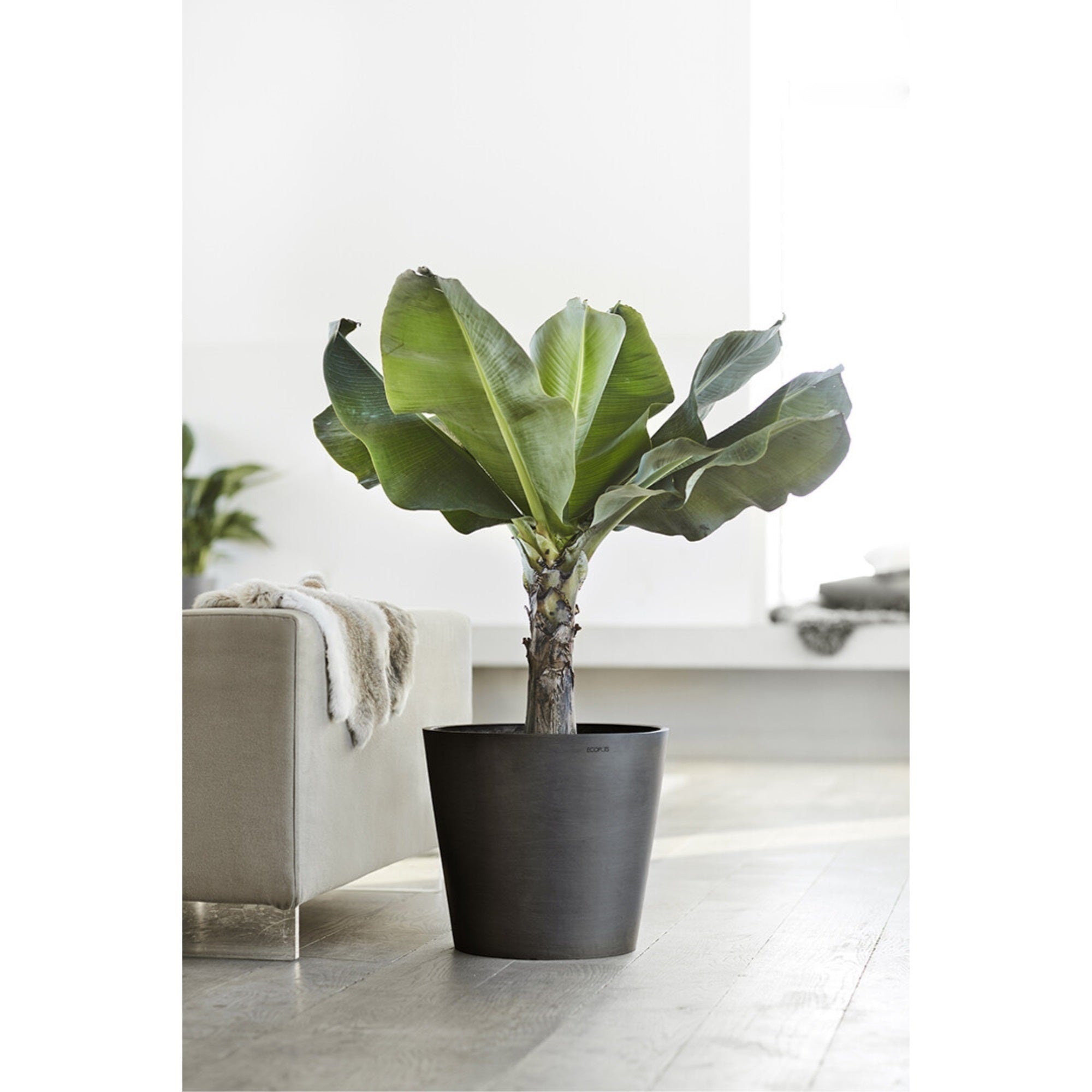 Ecopots Amsterdam Durable Modern Round In/Outdoor Recycled-Based Composite Flower Pot Planter