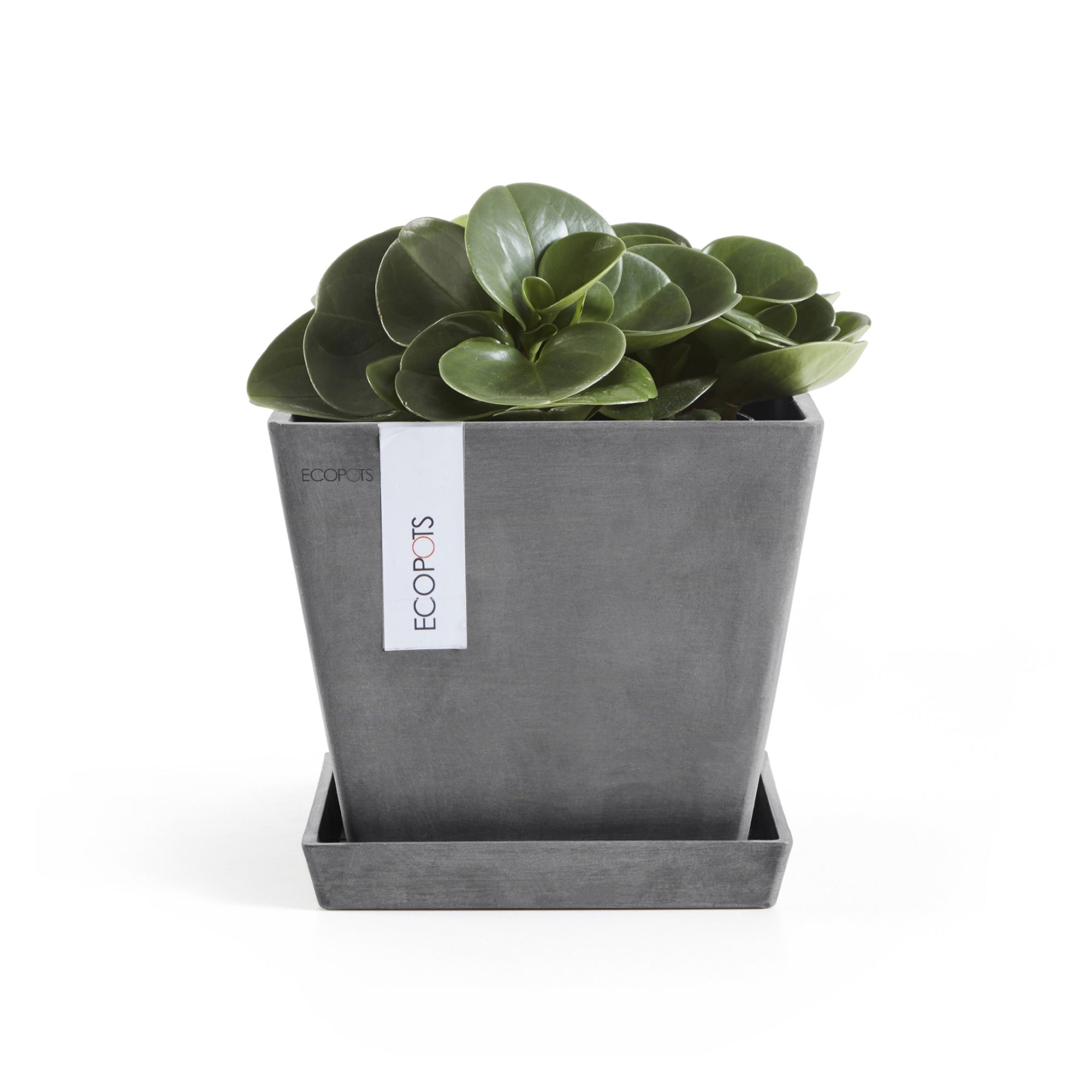 Ecopots Rotterdam Durable Modern Square Indoor/Outdoor Recycled-Based Composite Flower Planter