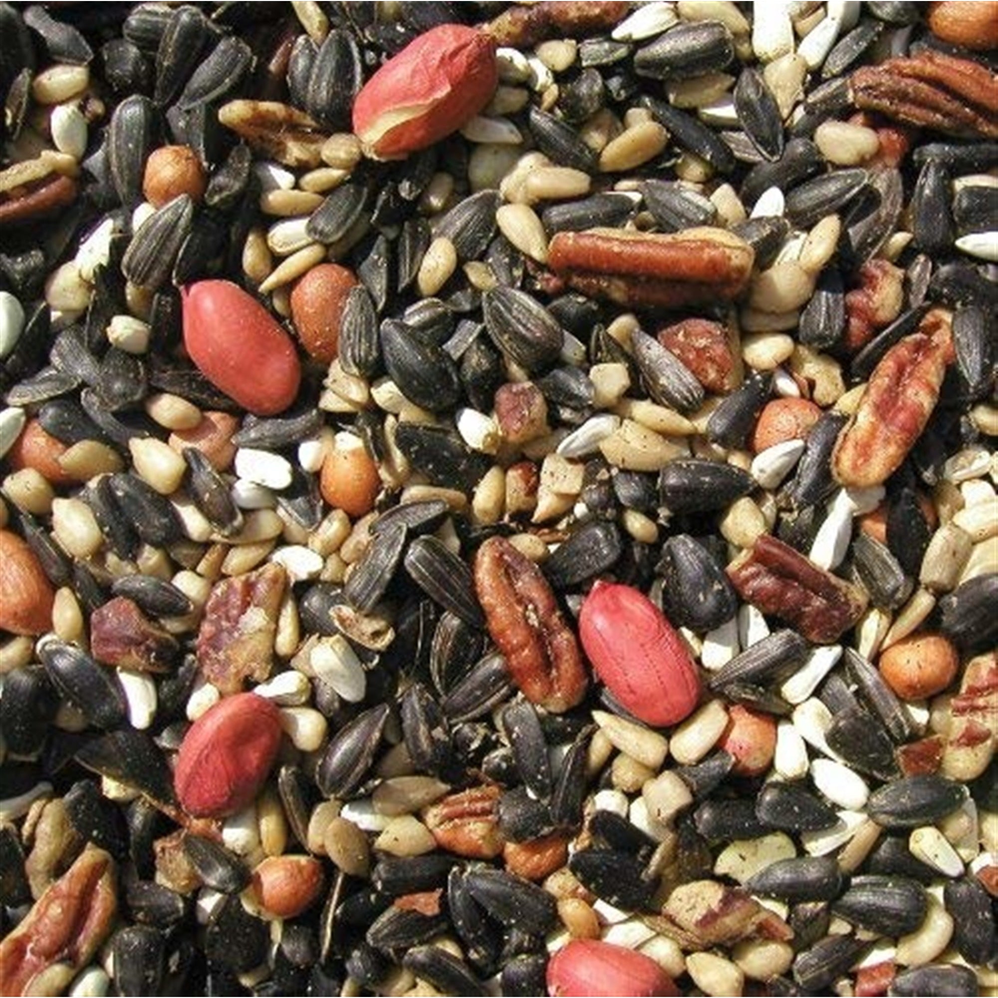 Cole's Special Feeder Bird Seed
