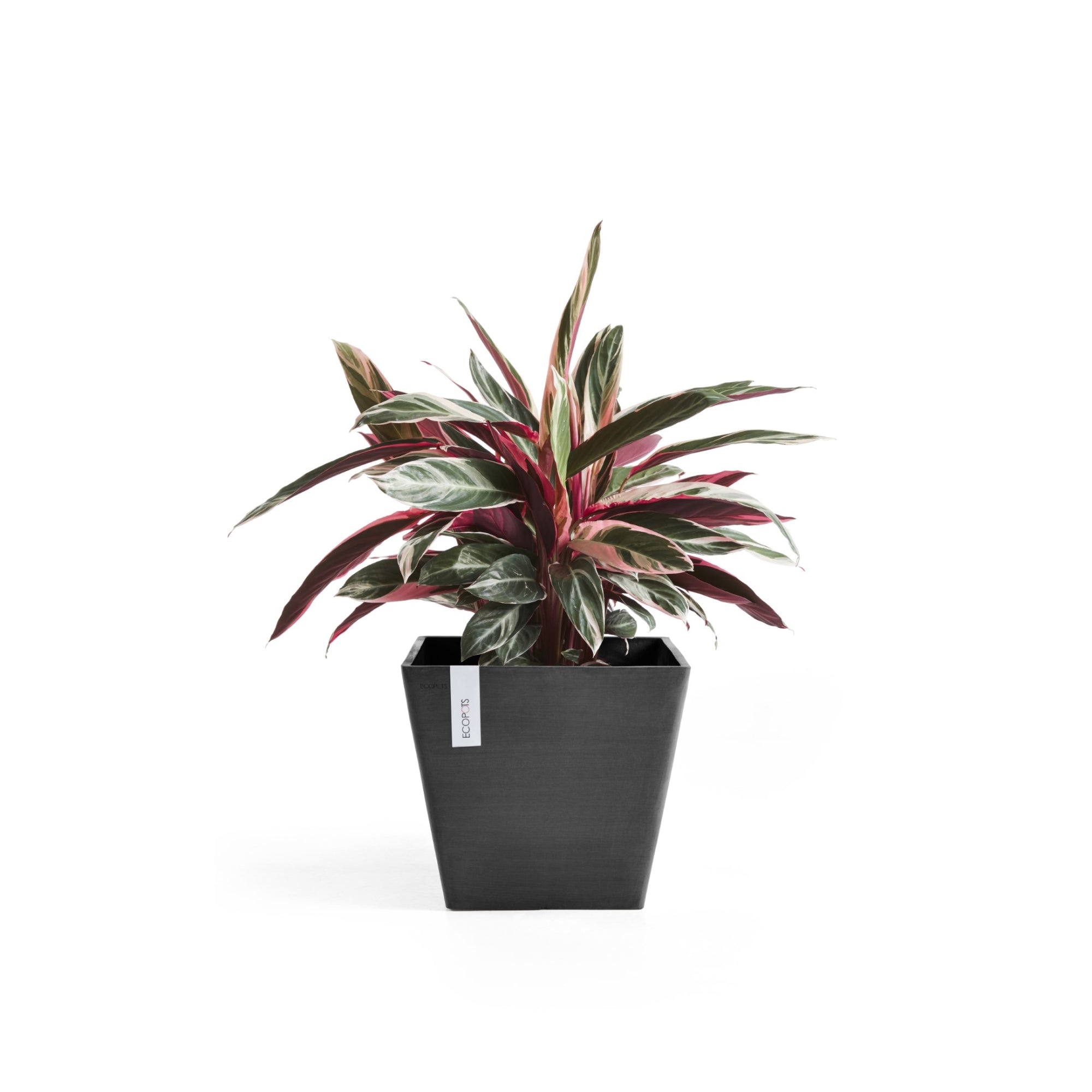 Ecopots Rotterdam Durable Modern Square Indoor/Outdoor Recycled-Based Composite Flower Planter