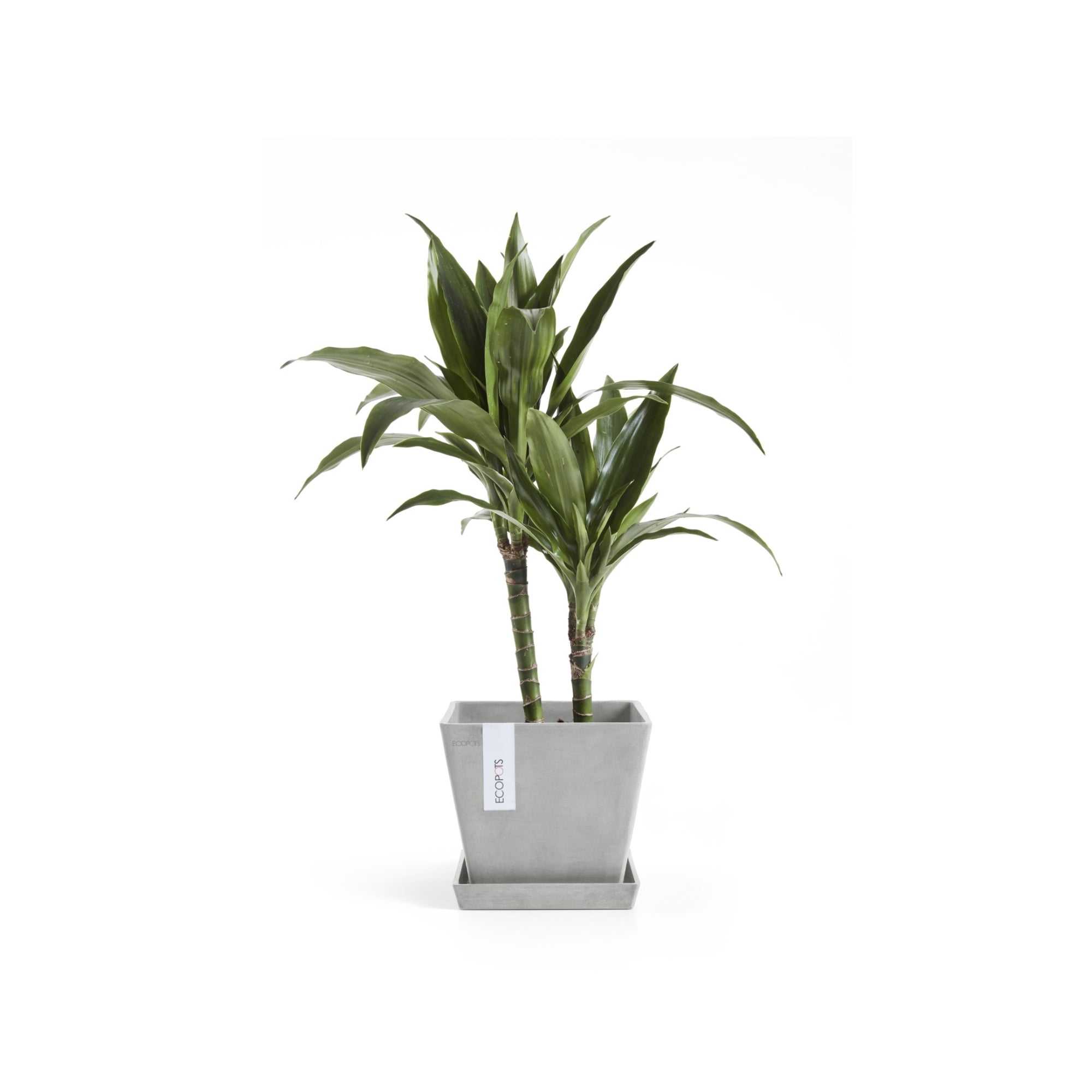 Ecopots Rotterdam Durable Modern Square Indoor/Outdoor Recycled-Based Composite Flower Planter