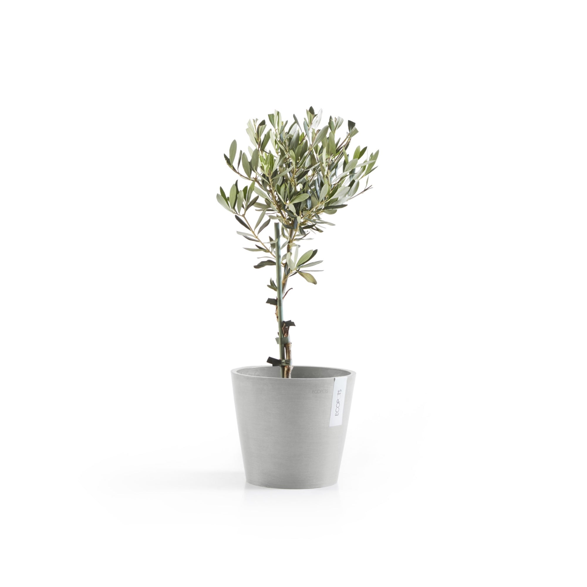Ecopots Amsterdam Durable Modern Round In/Outdoor Recycled-Based Composite Flower Pot Planter