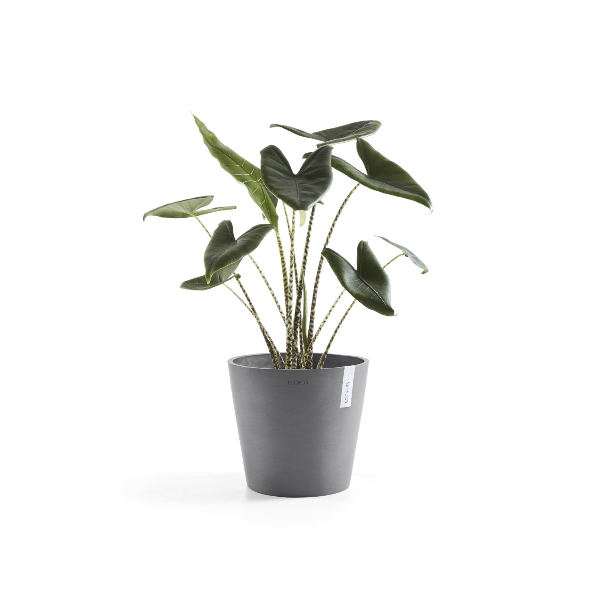 Ecopots Amsterdam Durable Modern Round In/Outdoor Recycled-Based Composite Flower Pot Planter