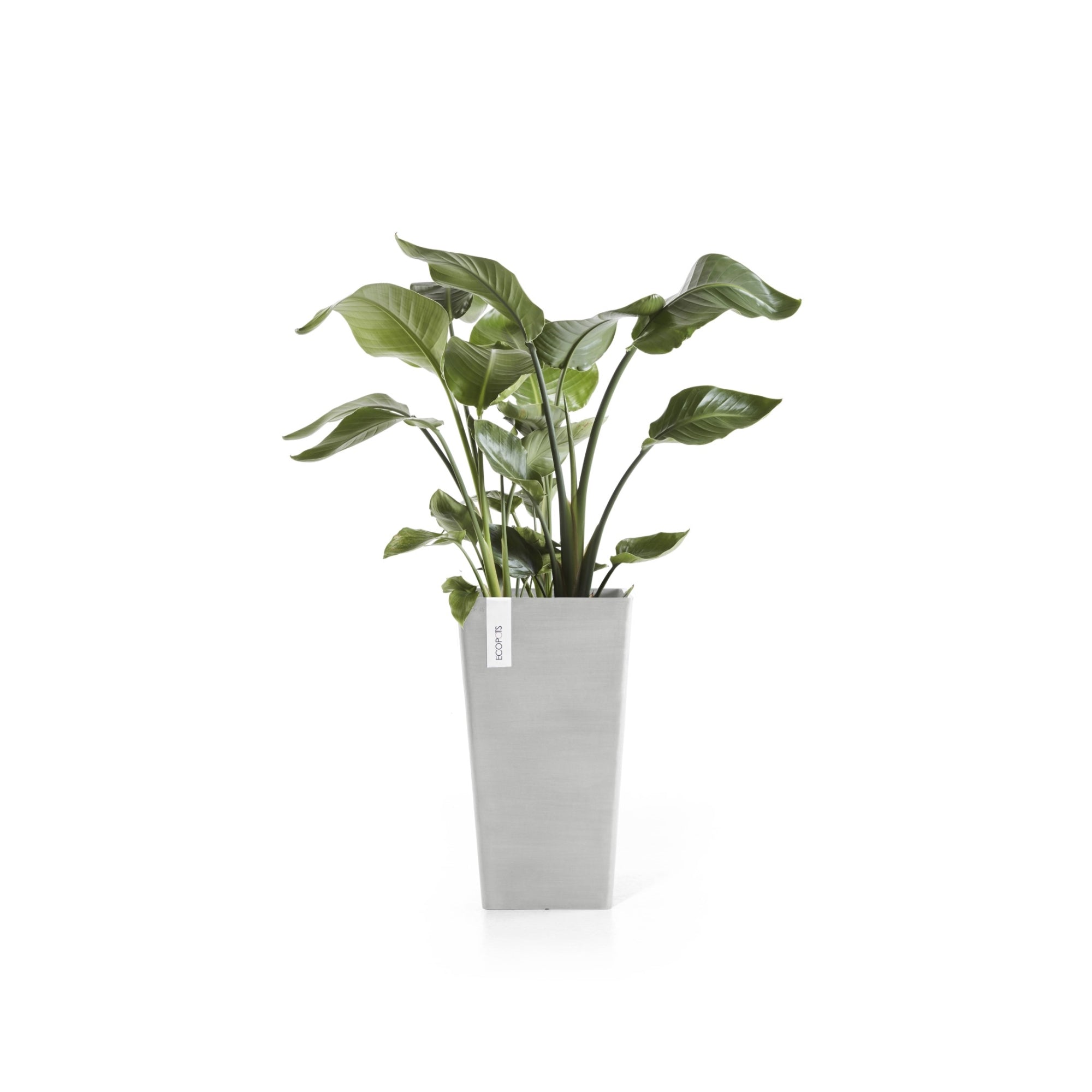 Ecopots Rotterdam Mid High Durable Modern Square Indoor/Outdoor Recycled-Based Composite Flower Planter