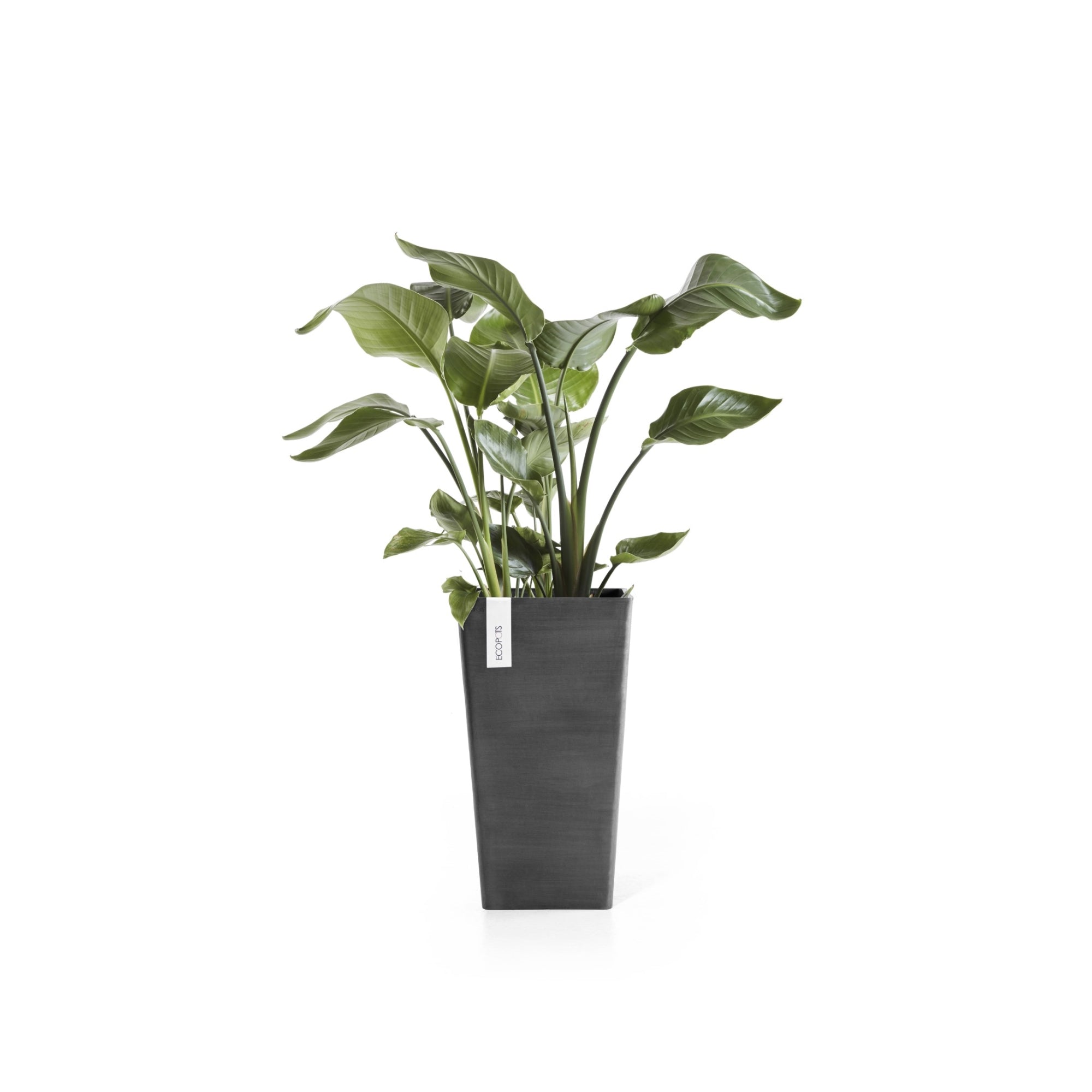 Ecopots Rotterdam Mid High Durable Modern Square Indoor/Outdoor Recycled-Based Composite Flower Planter