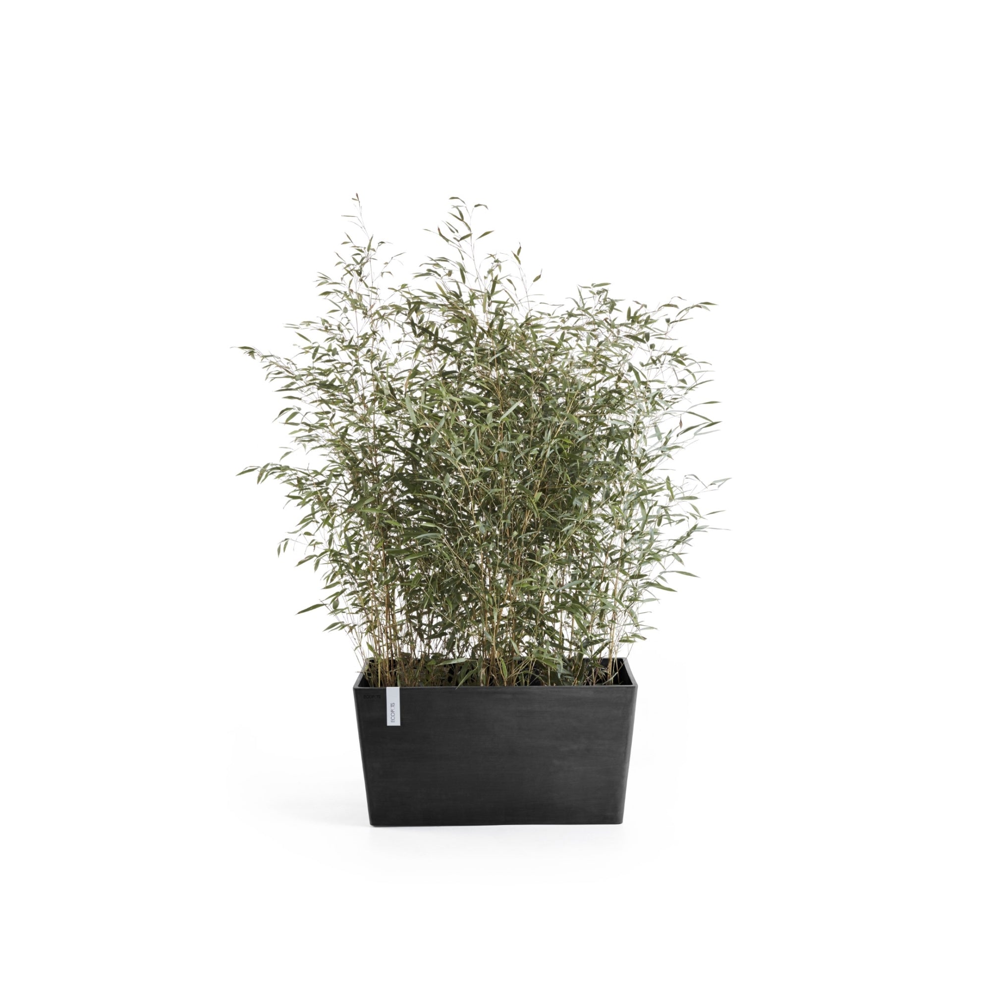Ecopots Paris Durable Modern Rectangular Indoor/Outdoor Recycled-Based Composite Flower Planter