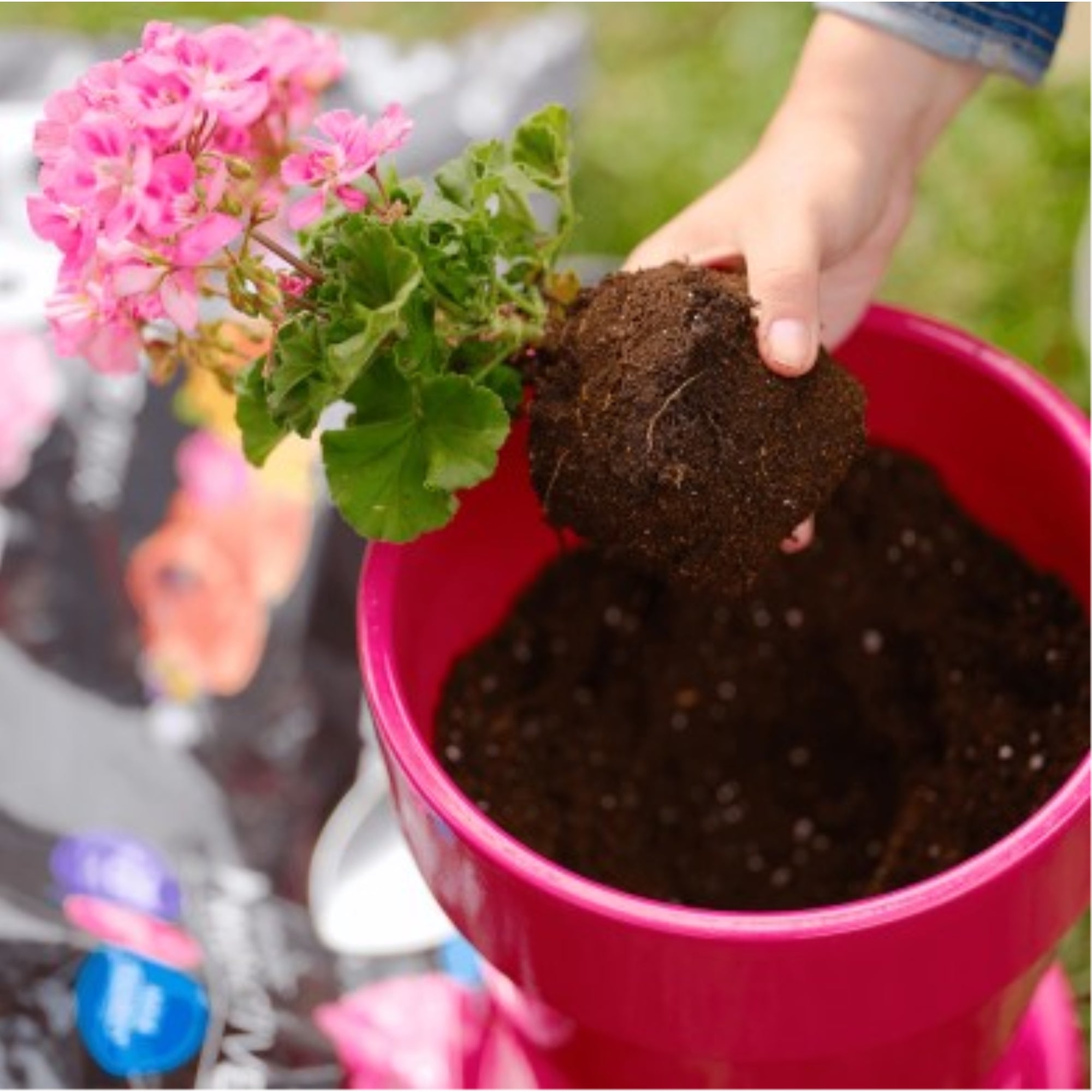 Premier PRO-MIX Premium Potting Mix with MYCOACTIVE, Loose Fill 8-Quart