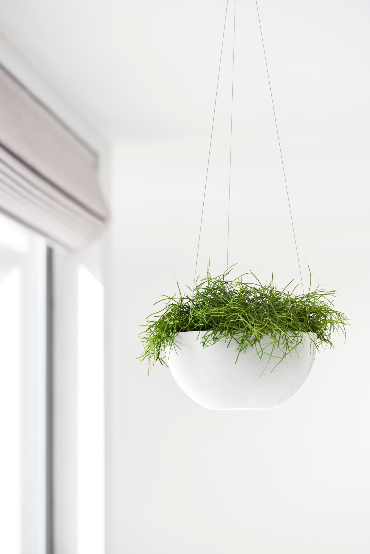 Ecopots Hanging Brussels Durable Modern Round Indoor/Outdoor Recycled-Based Composite Flower Pot Planter