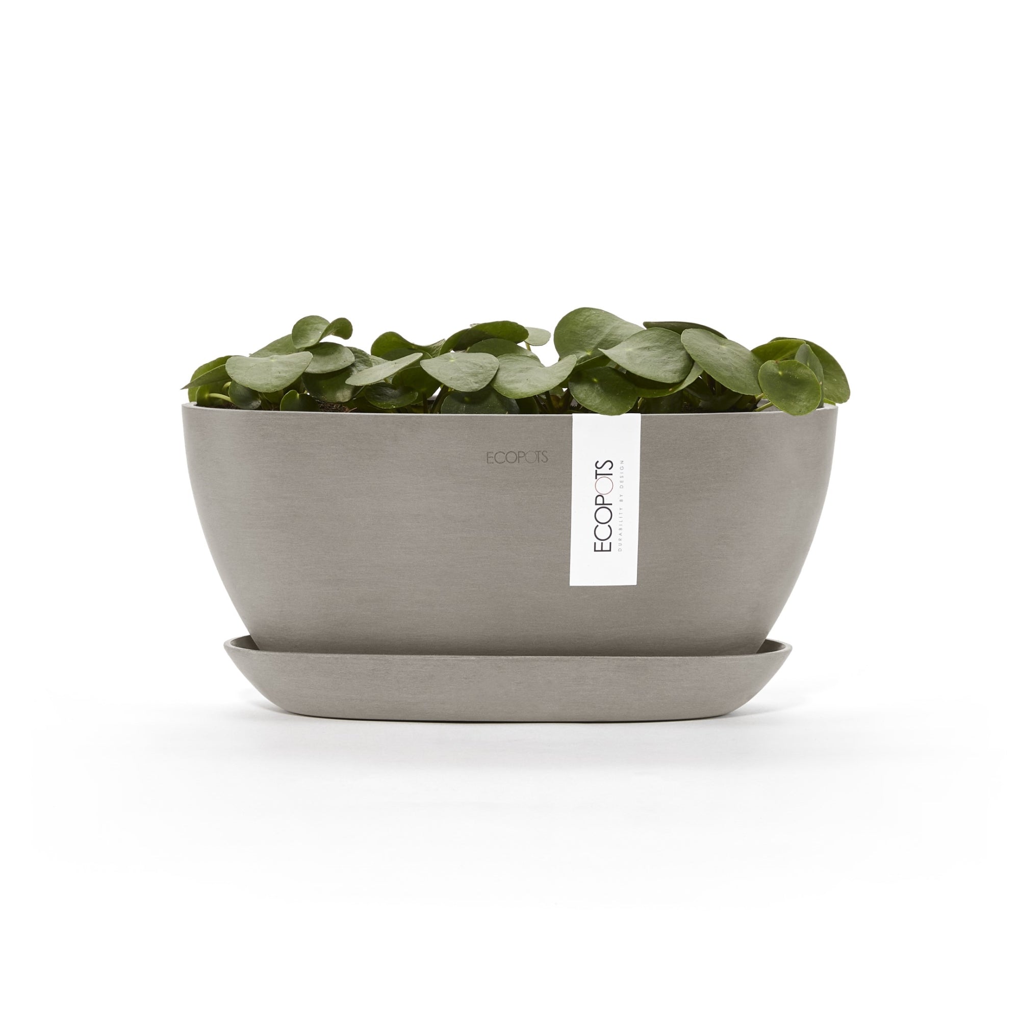 Ecopots Sofia Durable Modern Oval Indoor/Outdoor Recycled-Based Composite Flower Pot Planter w/ Water Reservoir