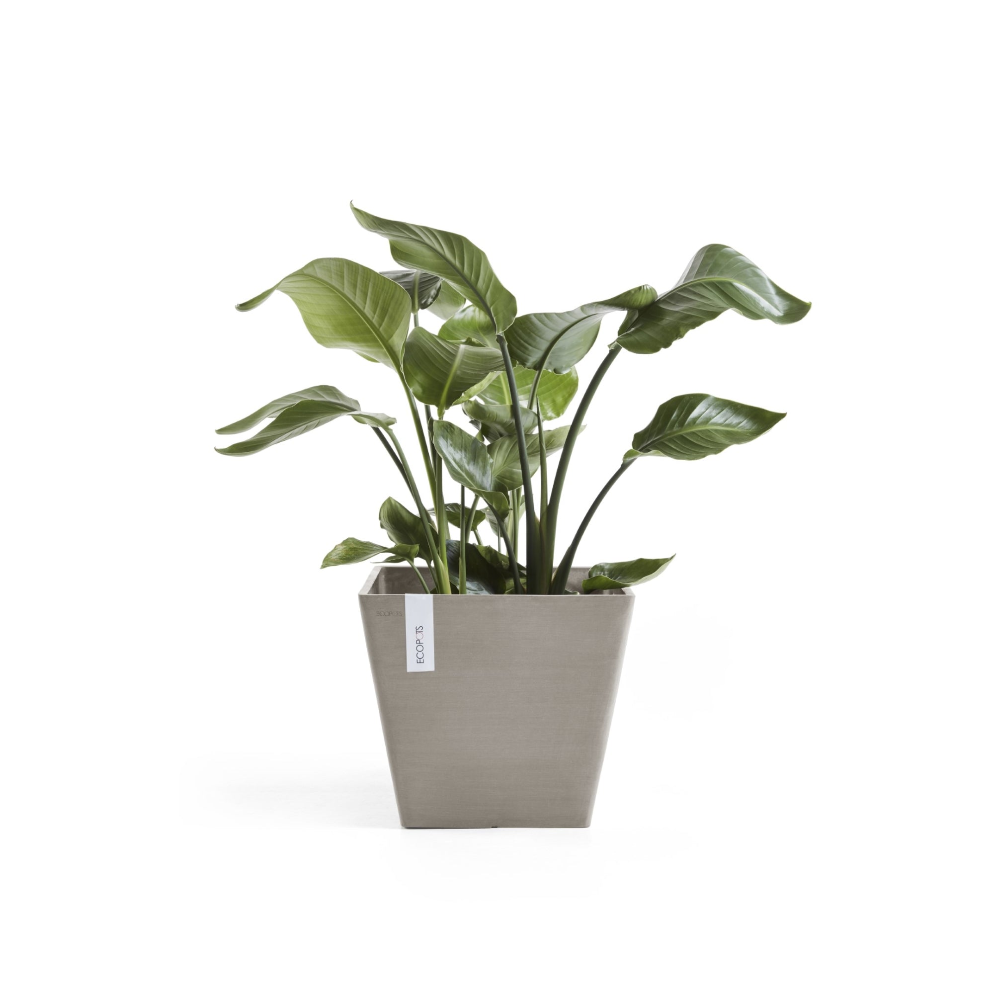 Ecopots Rotterdam Durable Modern Square Indoor/Outdoor Recycled-Based Composite Flower Planter