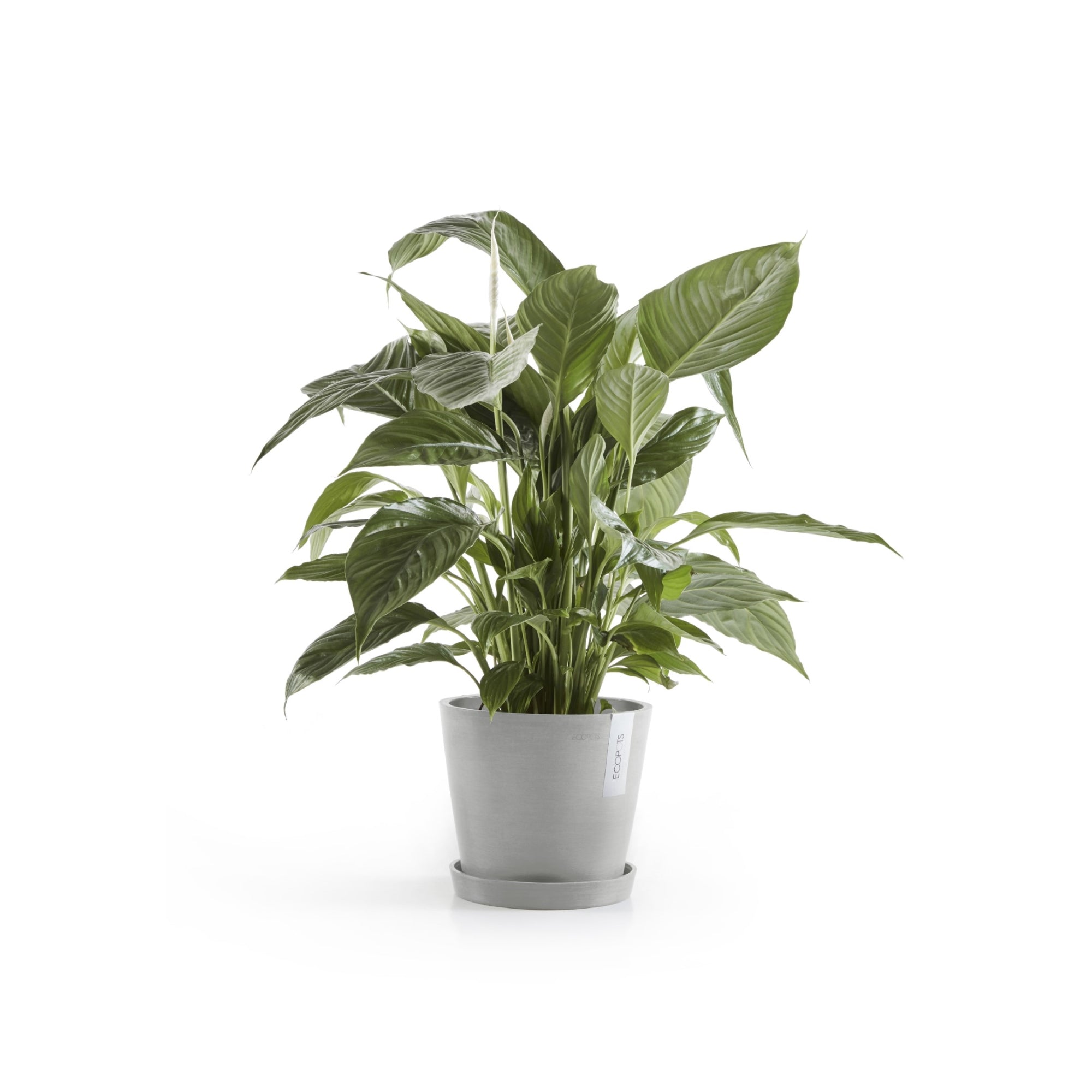 Ecopots Amsterdam Durable Modern Round In/Outdoor Recycled-Based Composite Flower Pot Planter