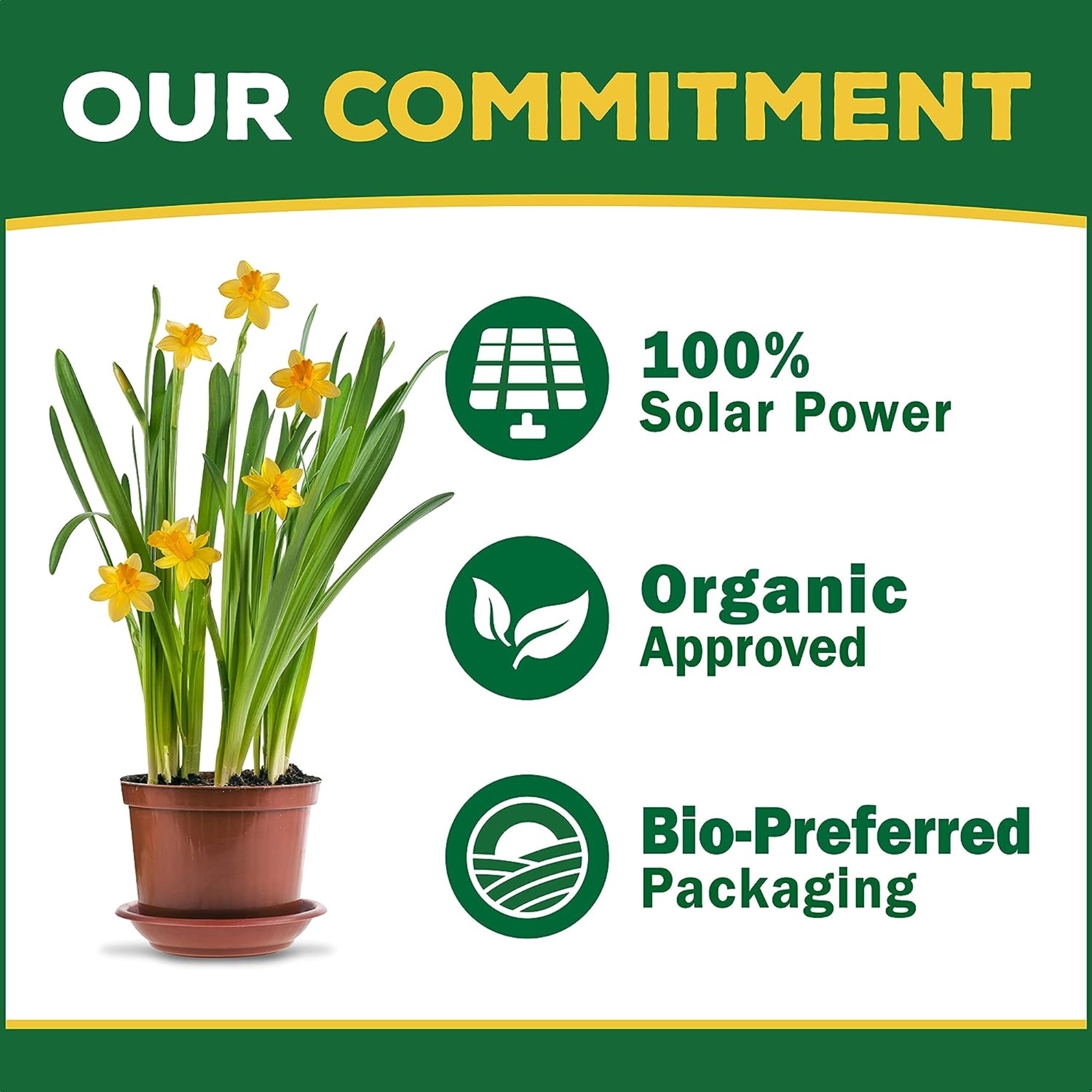 Espoma Organic Flower-tone 3-4-5 Blossom Booster for Organic Gardening for Flowers, Annuals, Perennials & Hanging Baskets