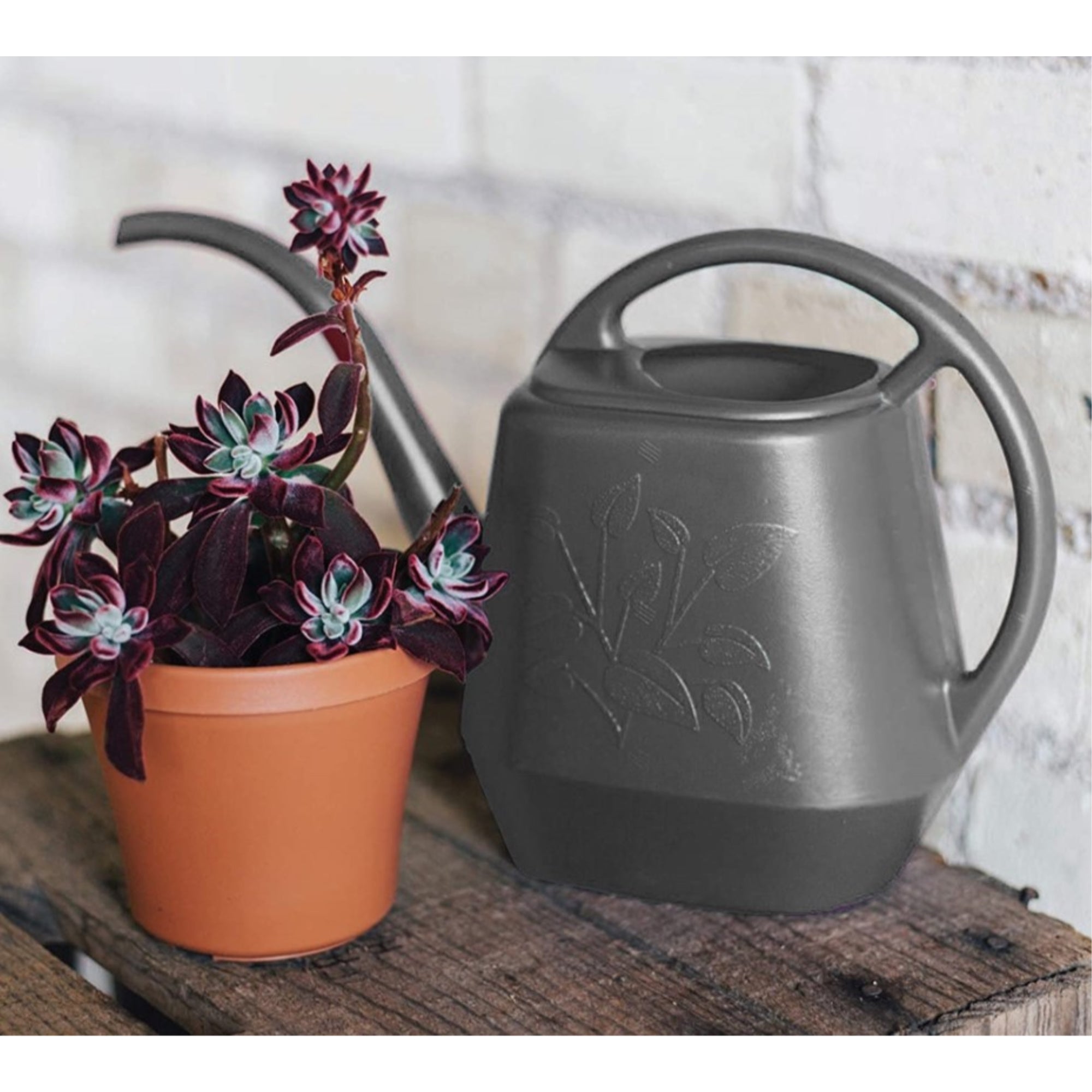 Bloem Aqua Rite Plastic Watering Cans