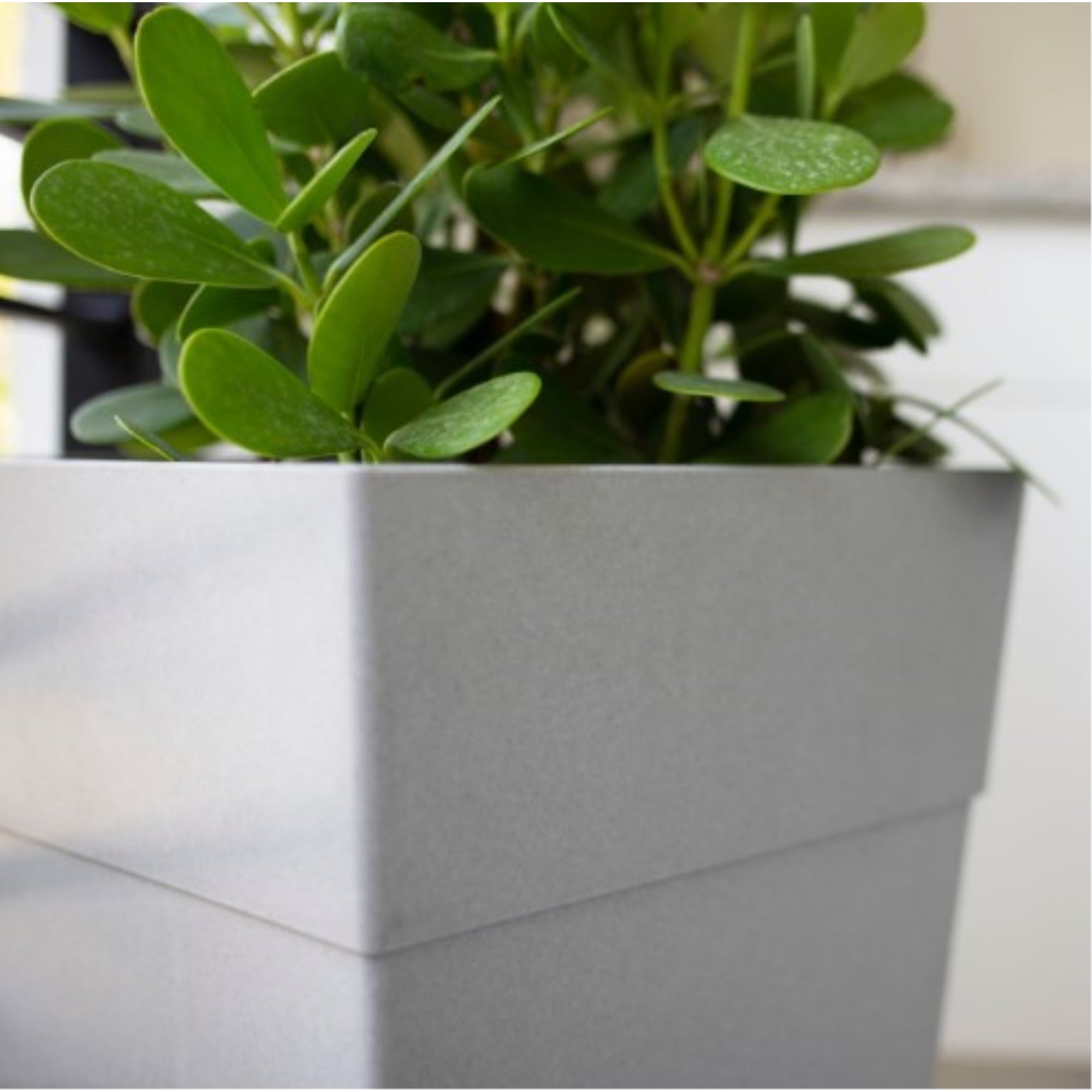 Bloem Finley Tall Indoor Outdoor Plastic Square Planter, 25 Inches